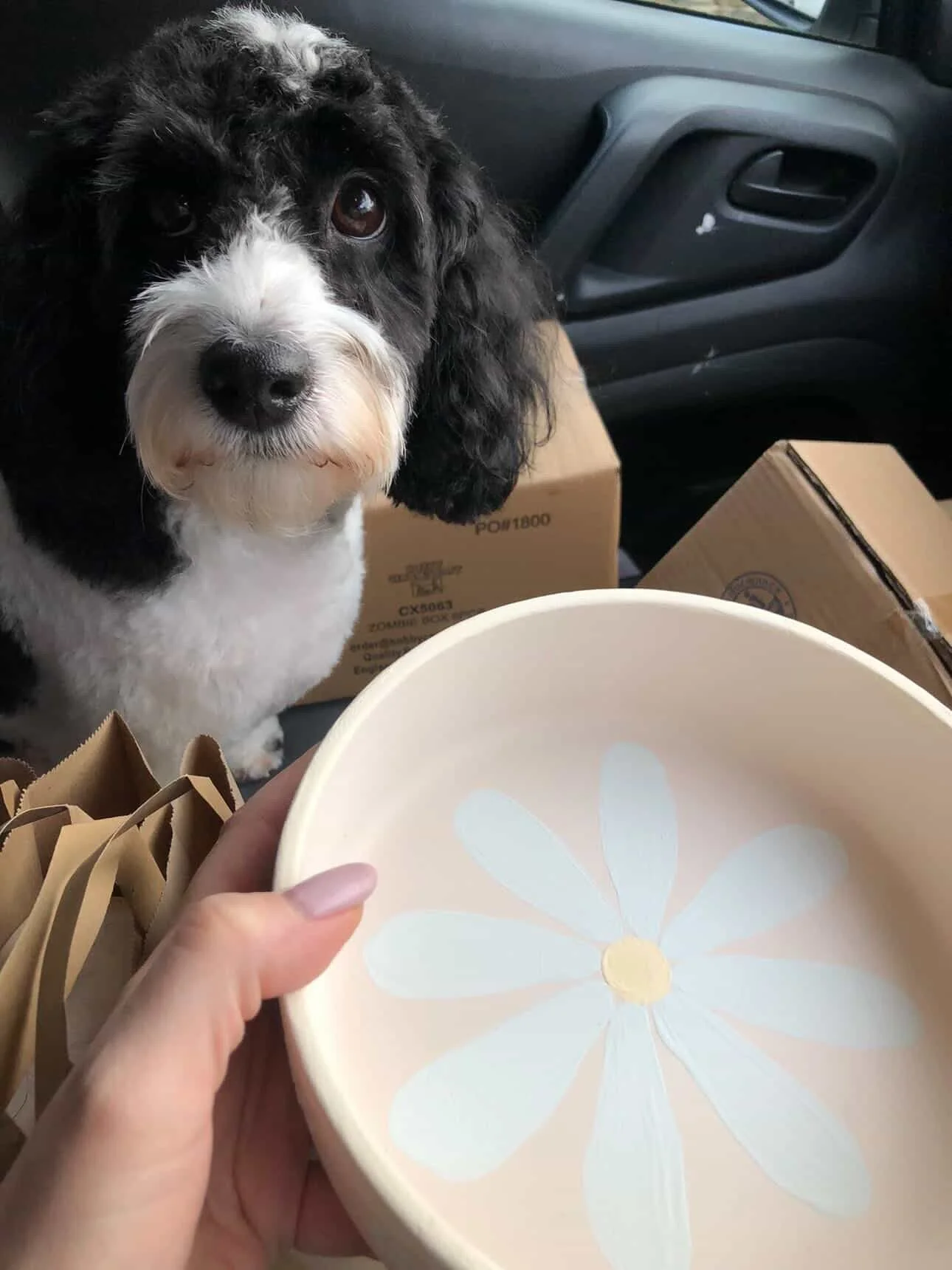Ticket: Dog Bowl Painting