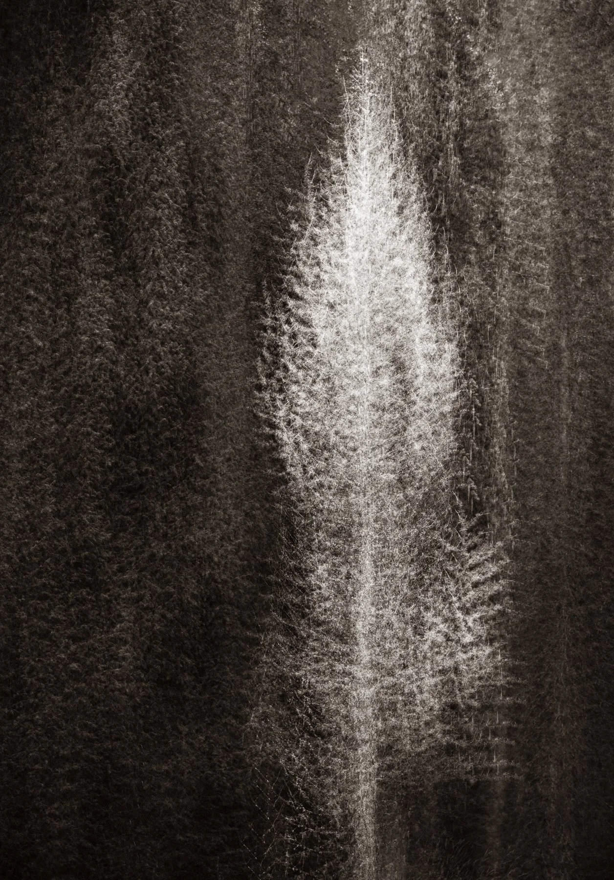 Enduring Light
(click image above to enlarge)