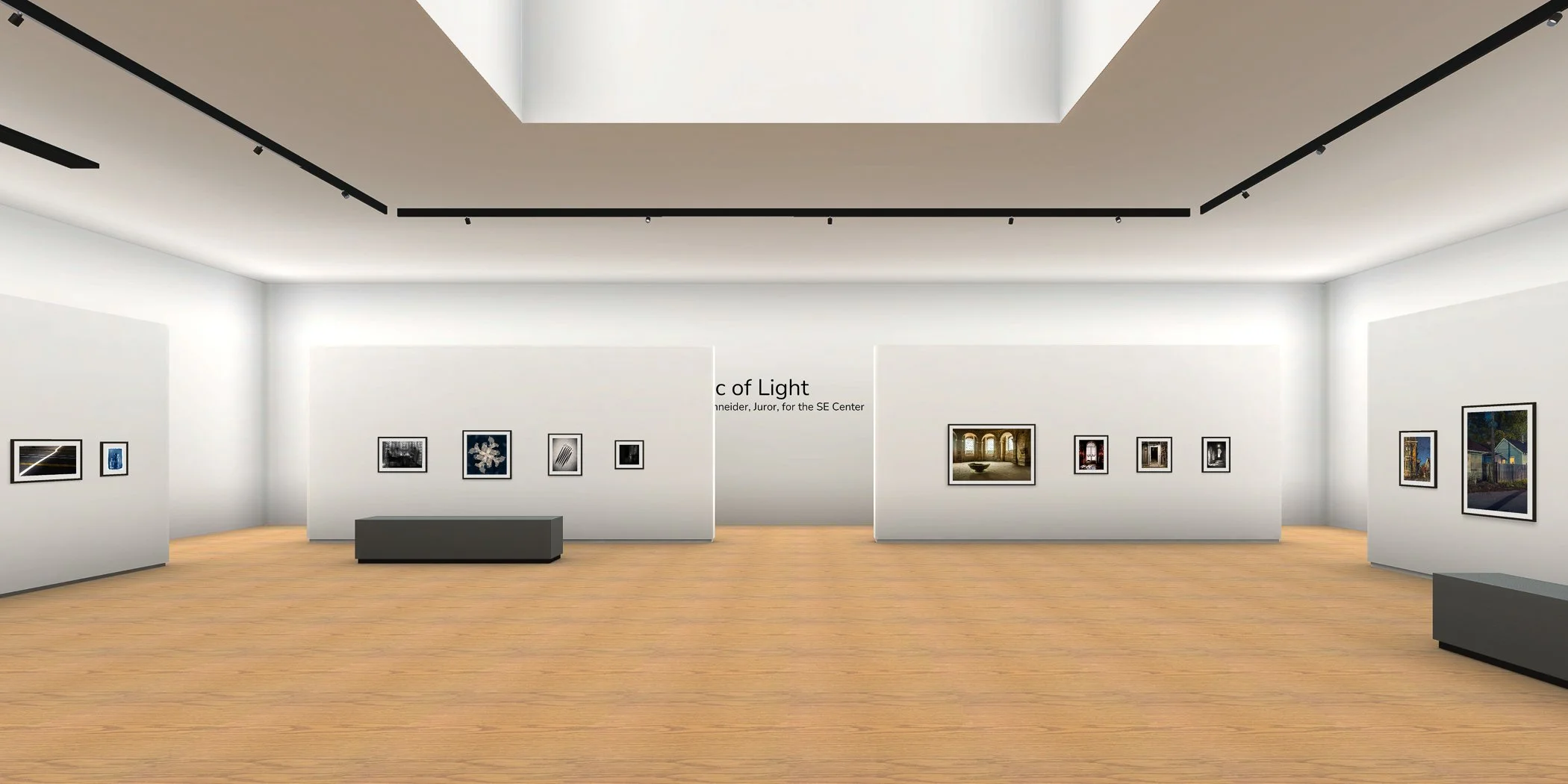 Magic of Light
Juried Group Photography Exhibition
SE Center Virtual Gallery, Greenville, South Carolina
June - July  2026
