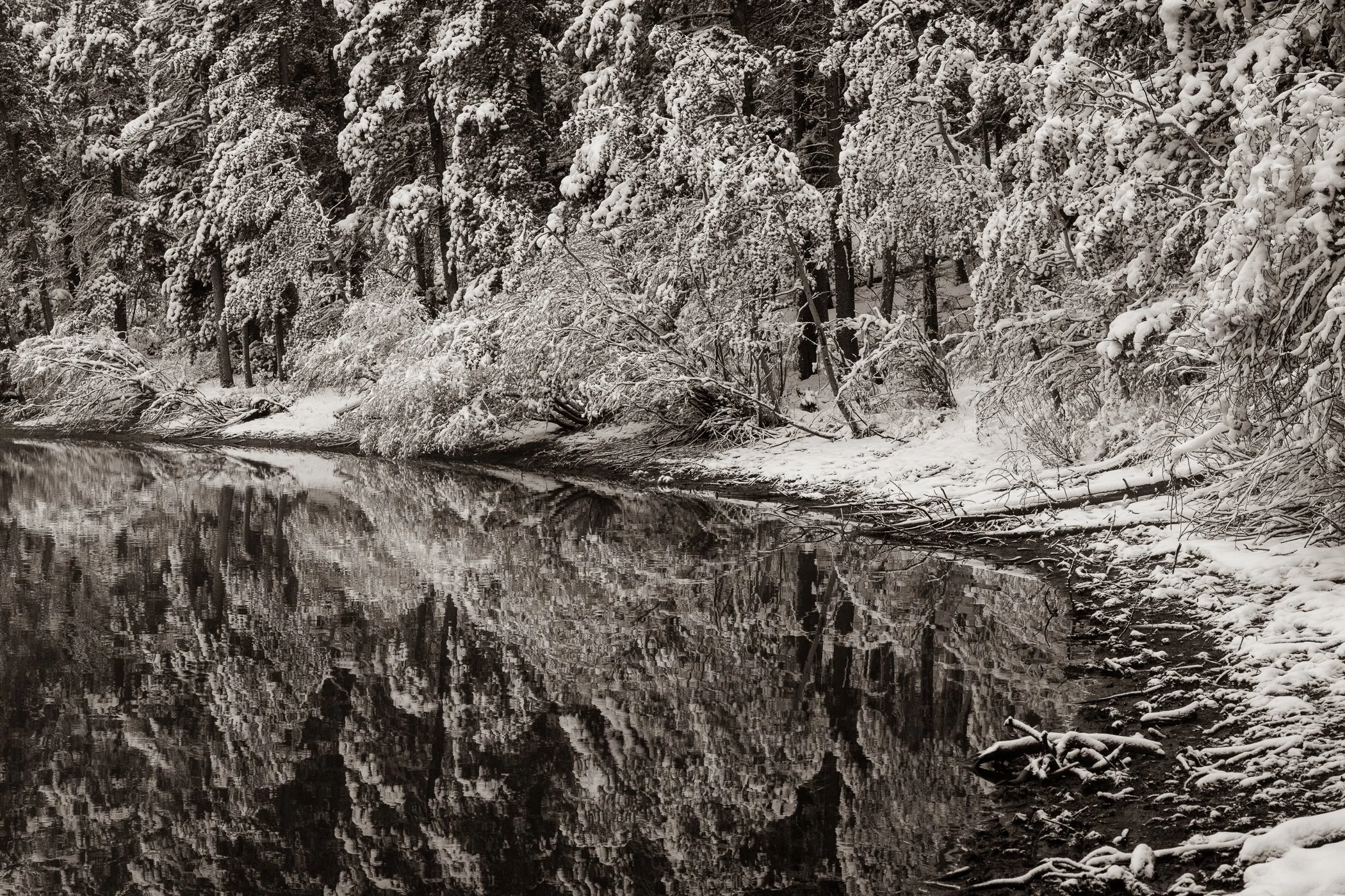 The Quiet Shore (Colorado)
(click image above to enlarge)