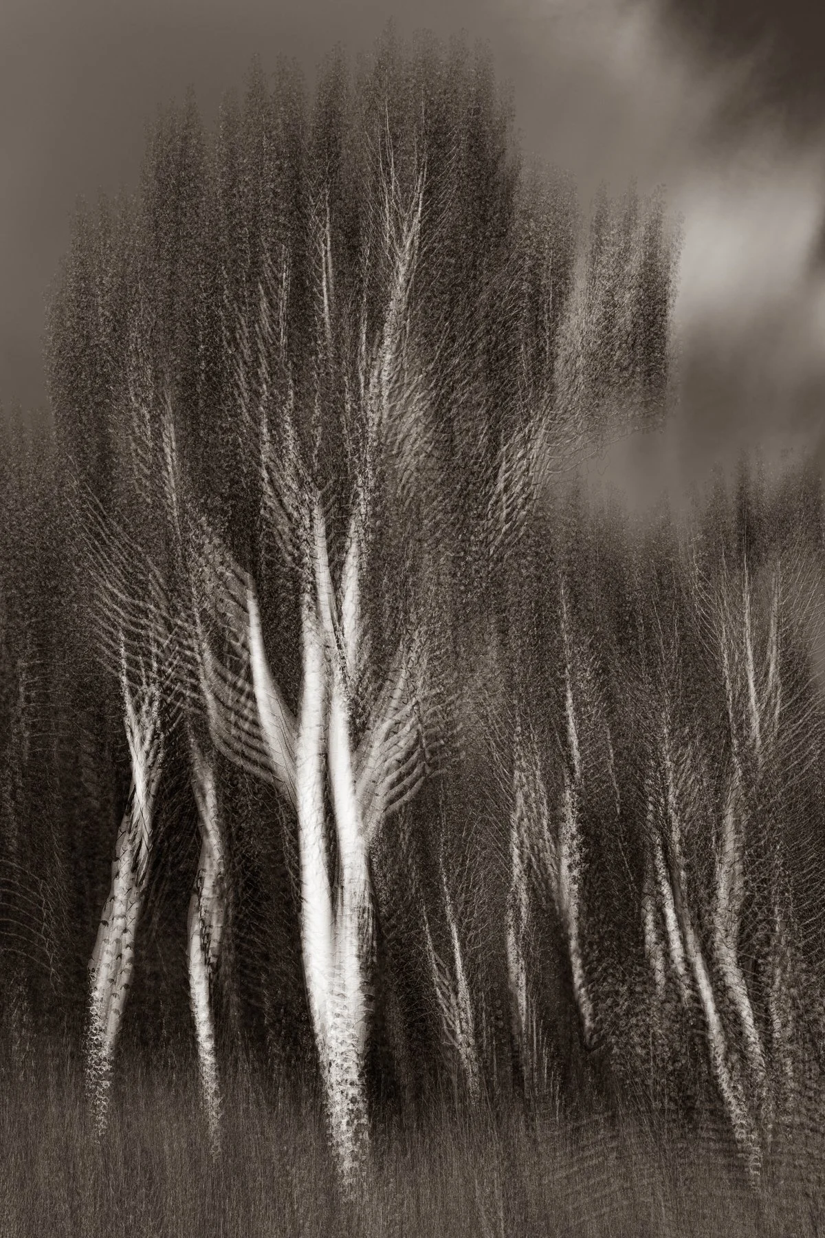 Standing Together
(click image above to enlarge)