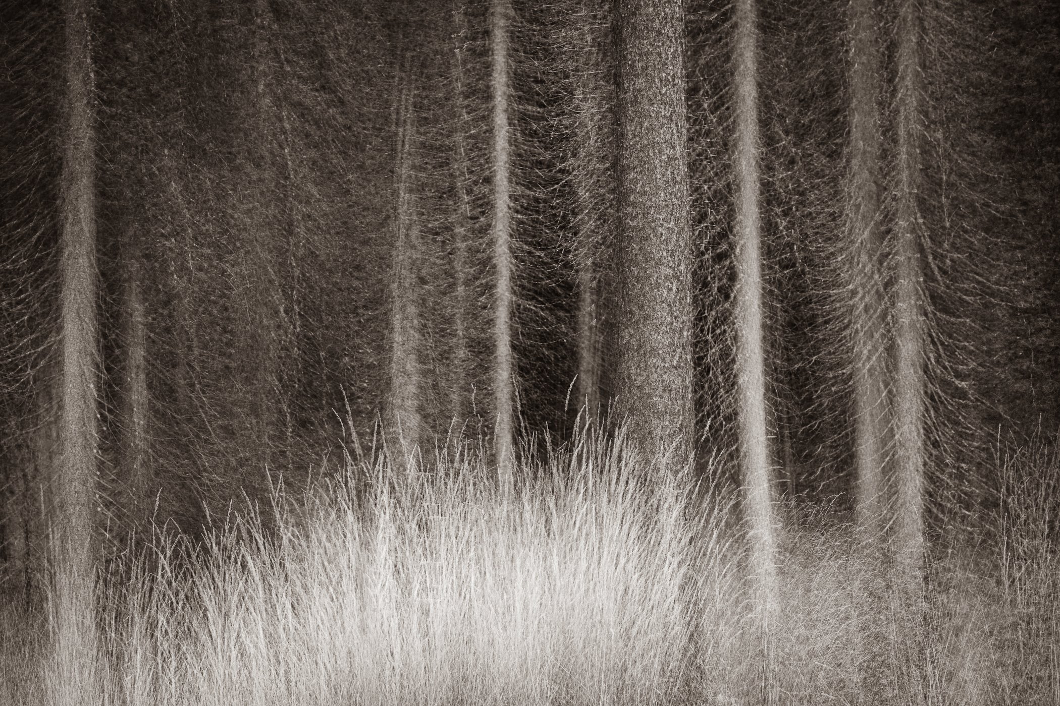 In Good Company
(click image above to enlarge)