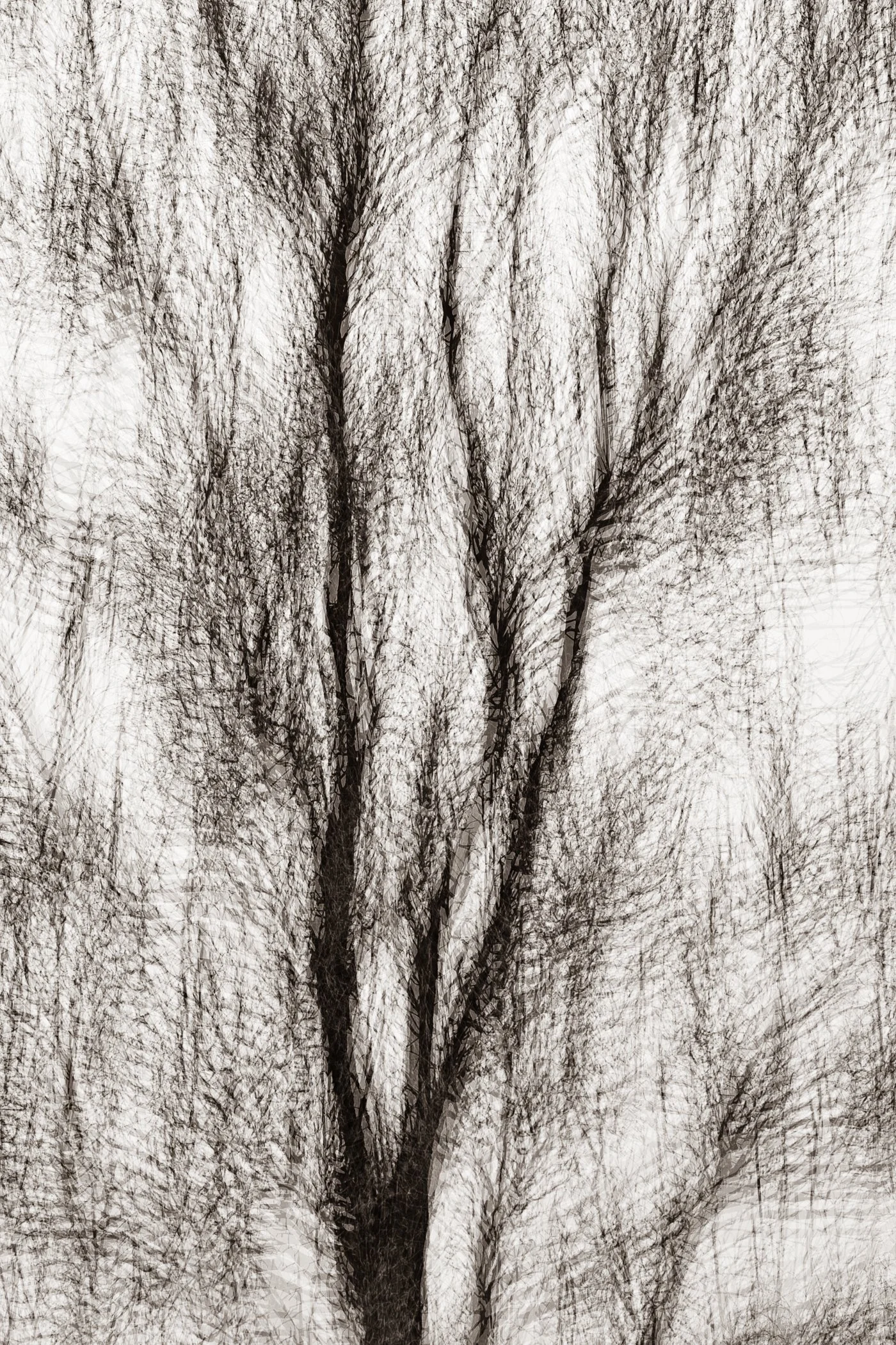 Winter's Breath
(click image above to enlarge)