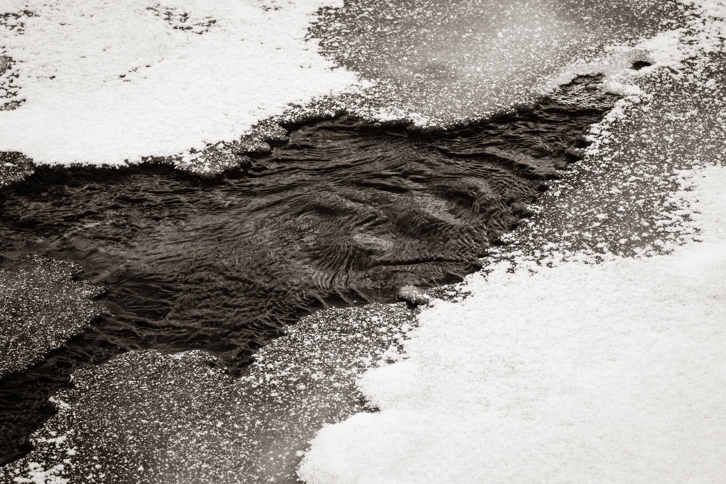 Winter  Current
(click image above to enlarge)