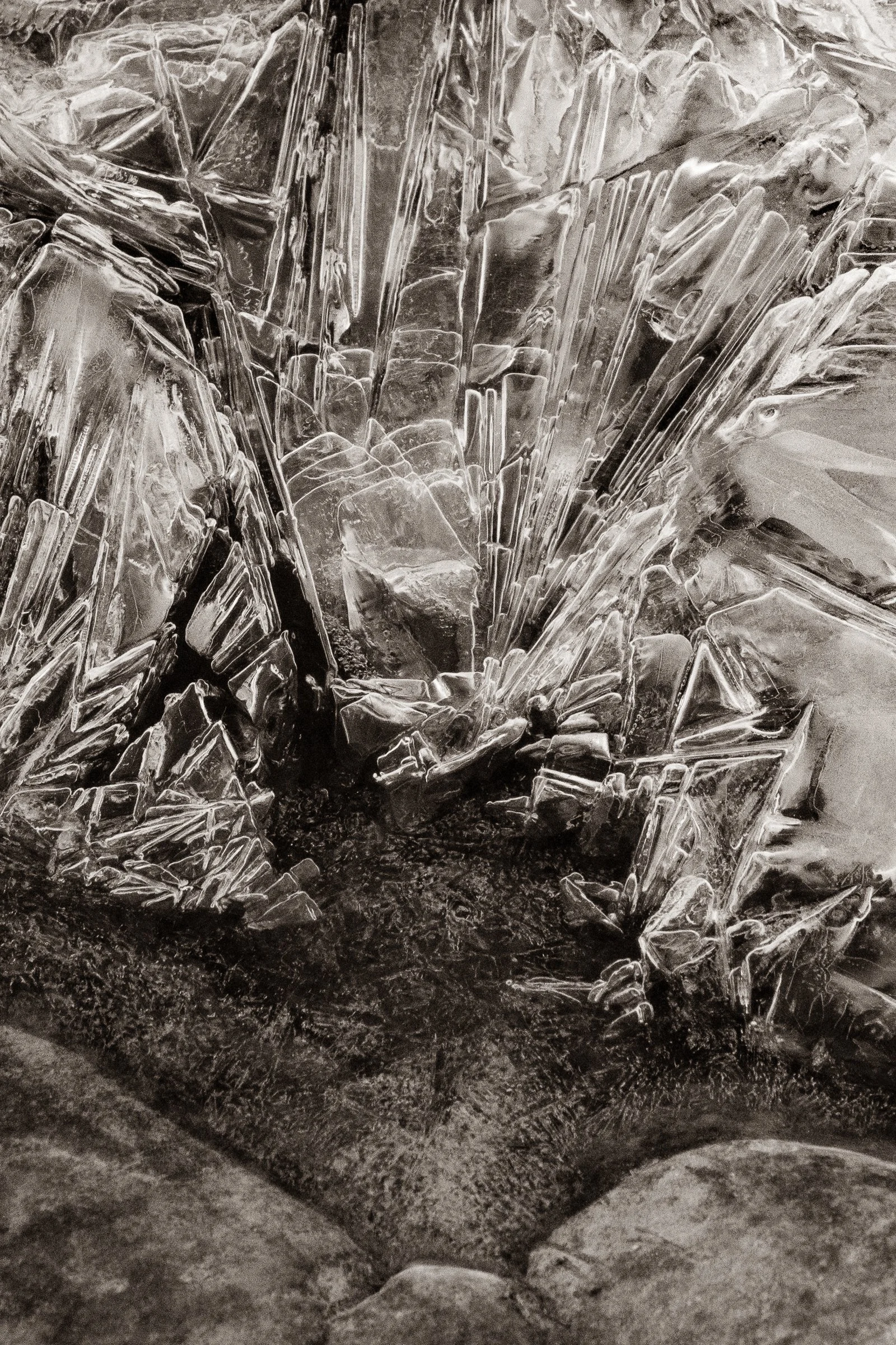 The Elemental Cradle
(click image above to enlarge)