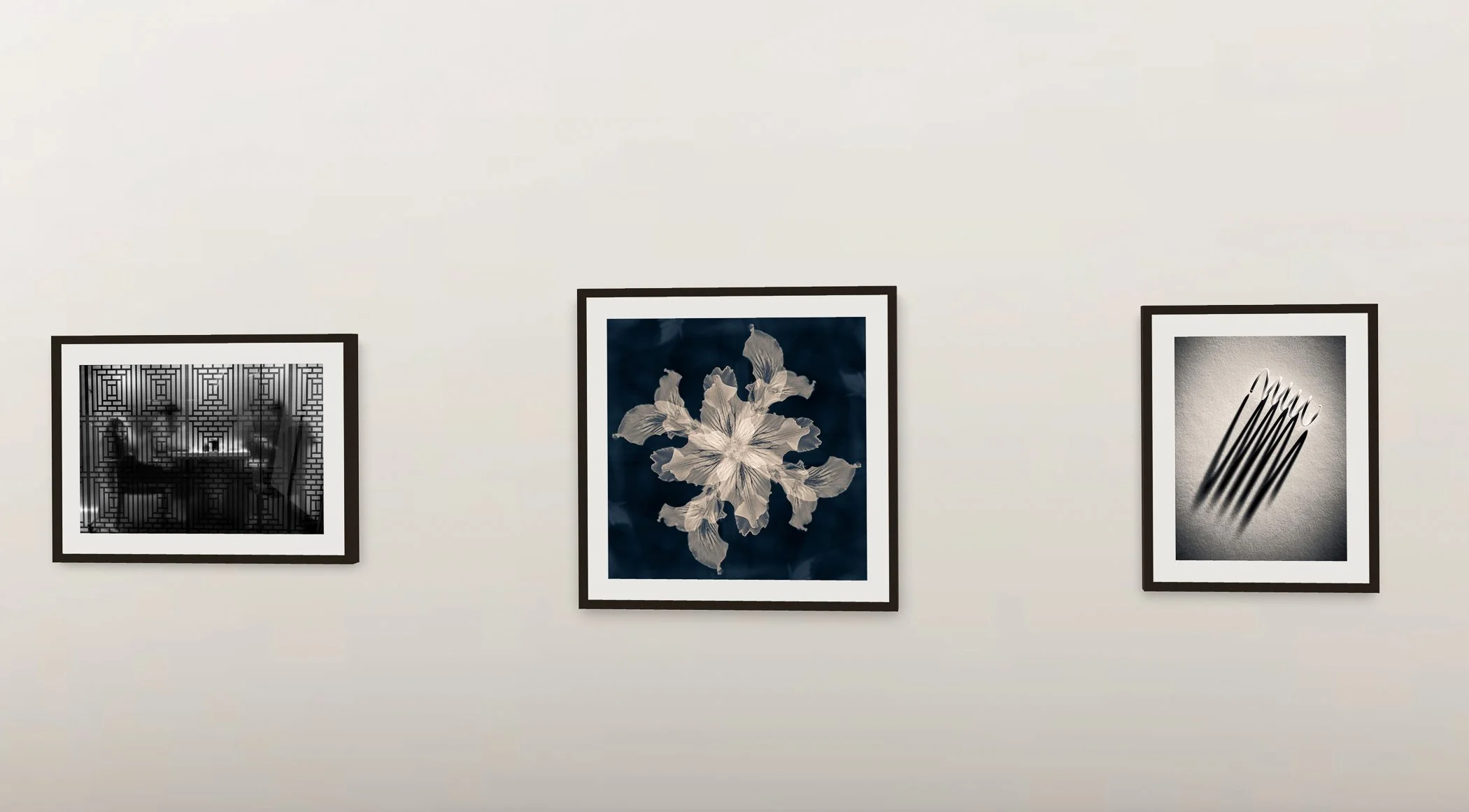 Magic of Light
Juried Group Photography Exhibition
SE Center Virtual Gallery, Greenville, South Carolina
June - July  2026