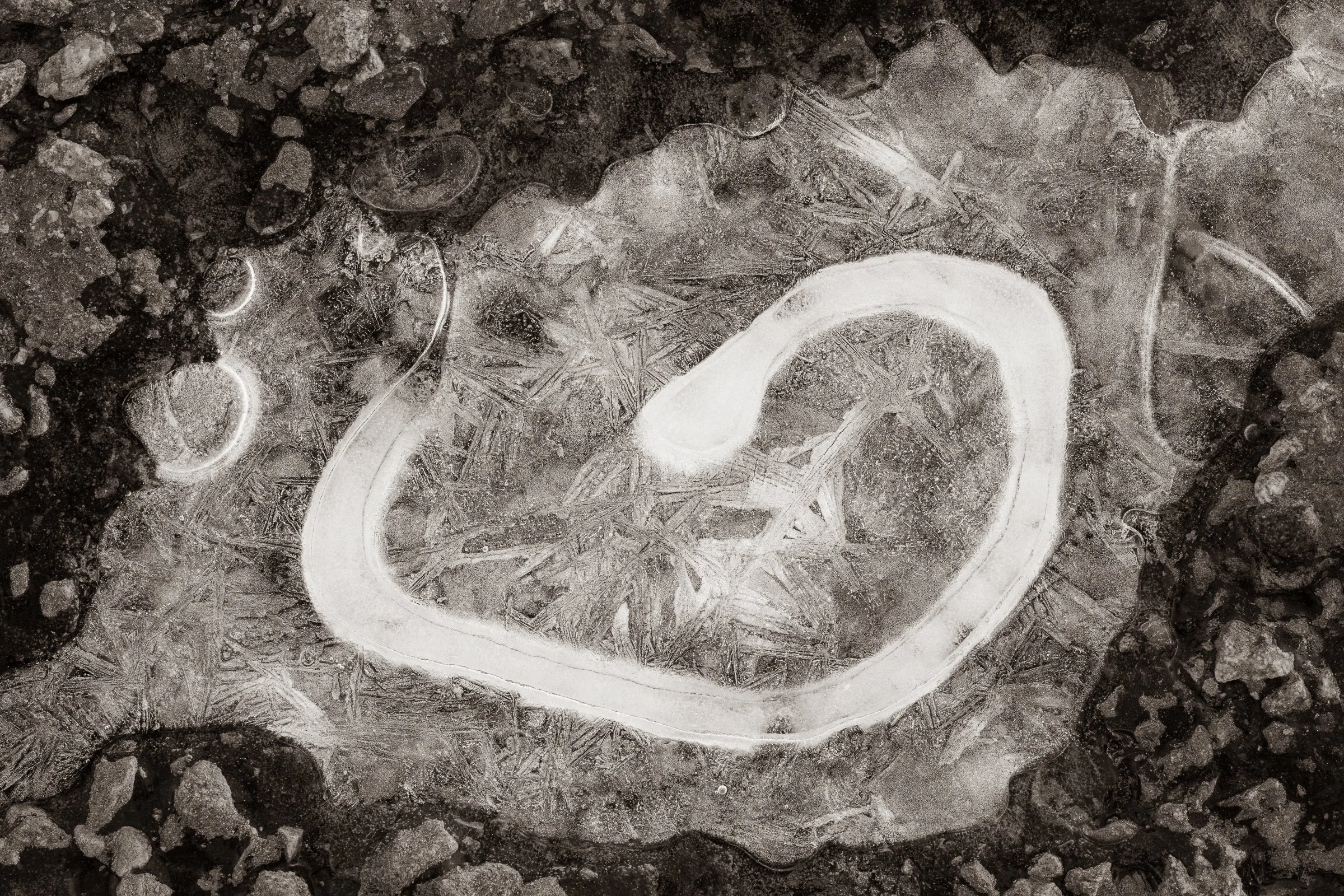 Becoming
(click image above to enlarge)