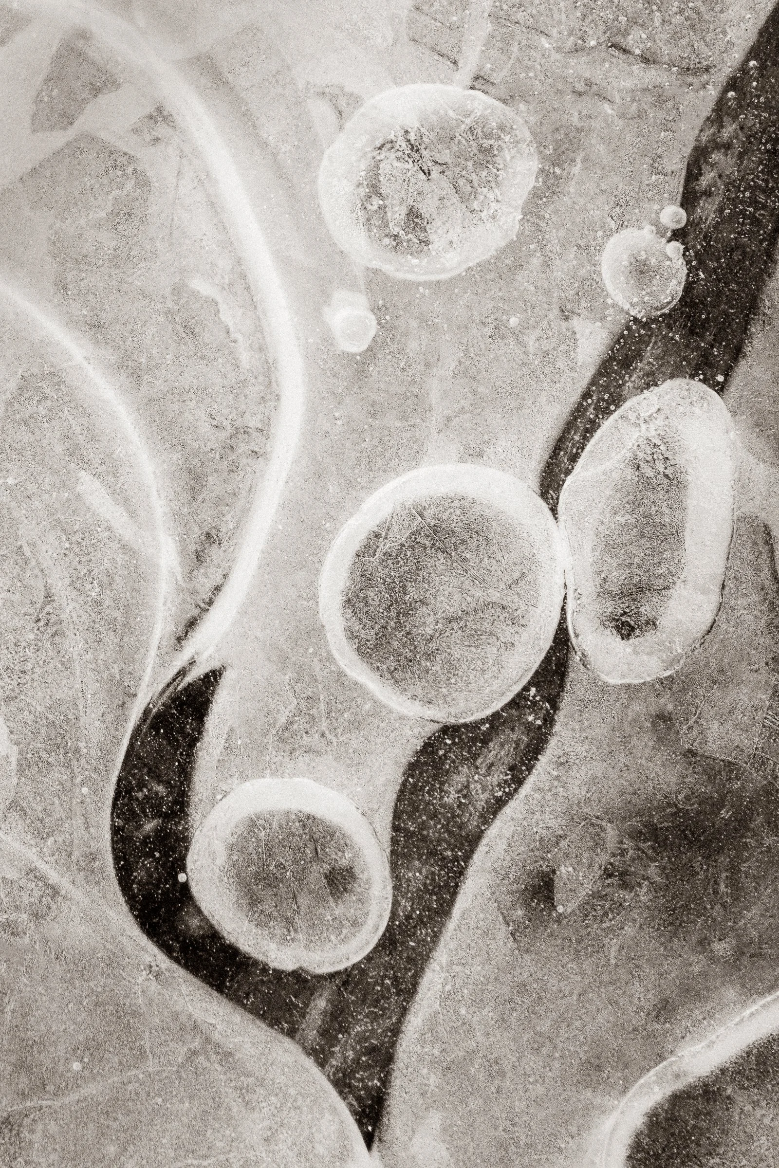 Inner Current
(click image above to enlarge)
