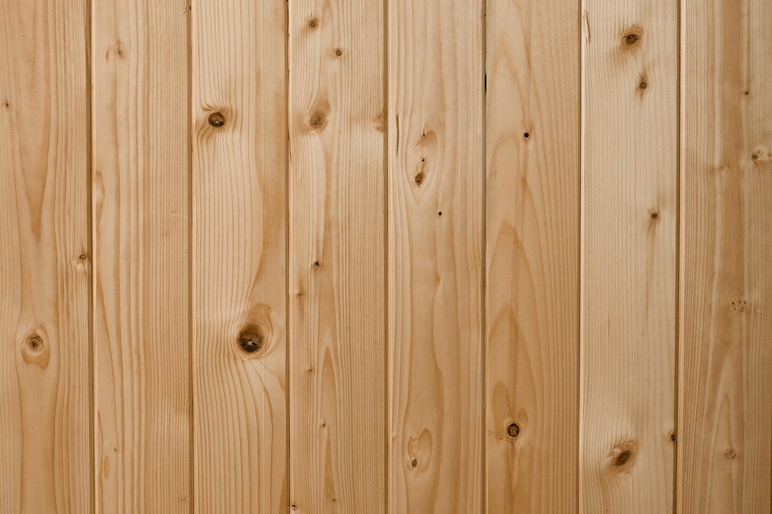 bigstock-White-Pine-Wood-Surface-Grain-300802039 web.jpg