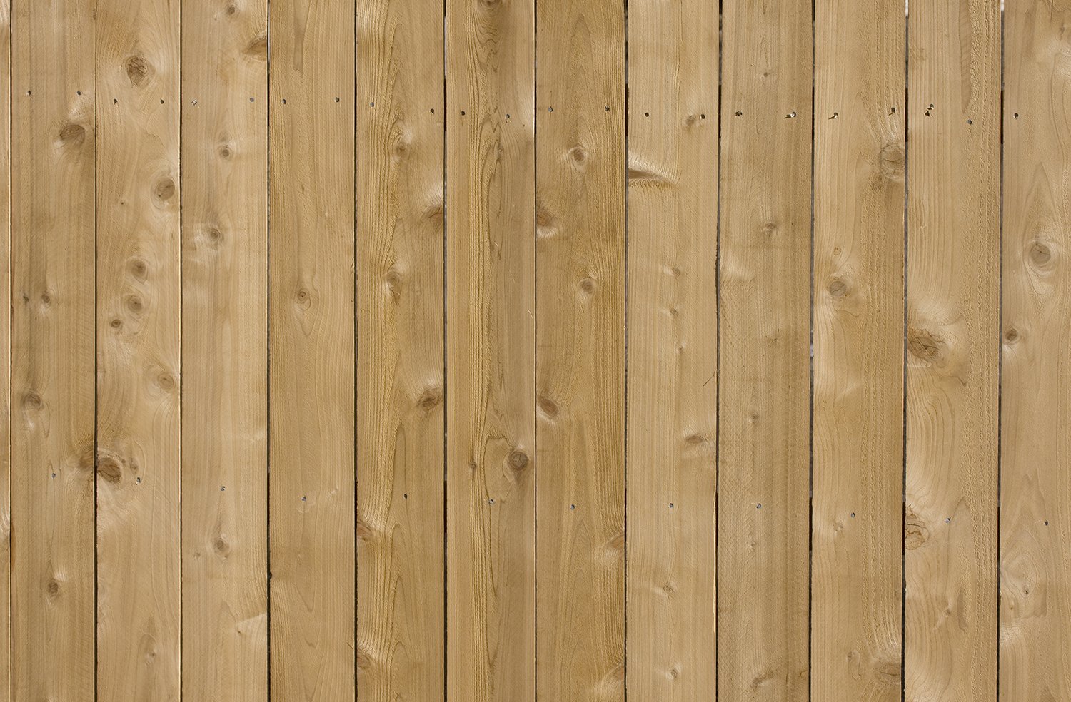 bigstock-New-Cedar-Wood-Fence-Backgroun-2715913 web.jpg