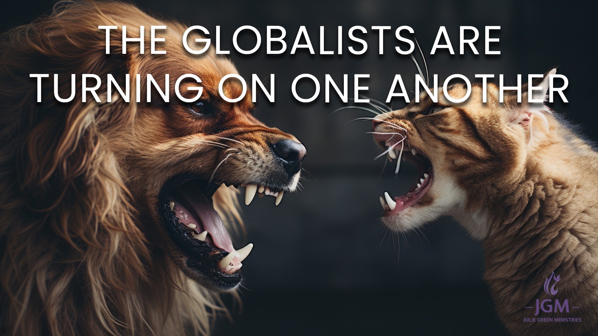 THE GLOBALISTS ARE TURNING ON ONE ANOTHER