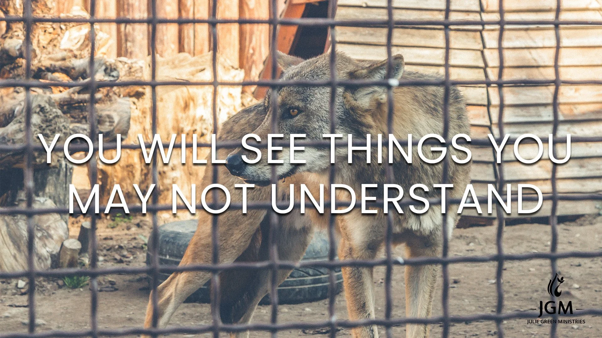 YOU WILL SEE THINGS YOU MAY NOT UNDERSTAND