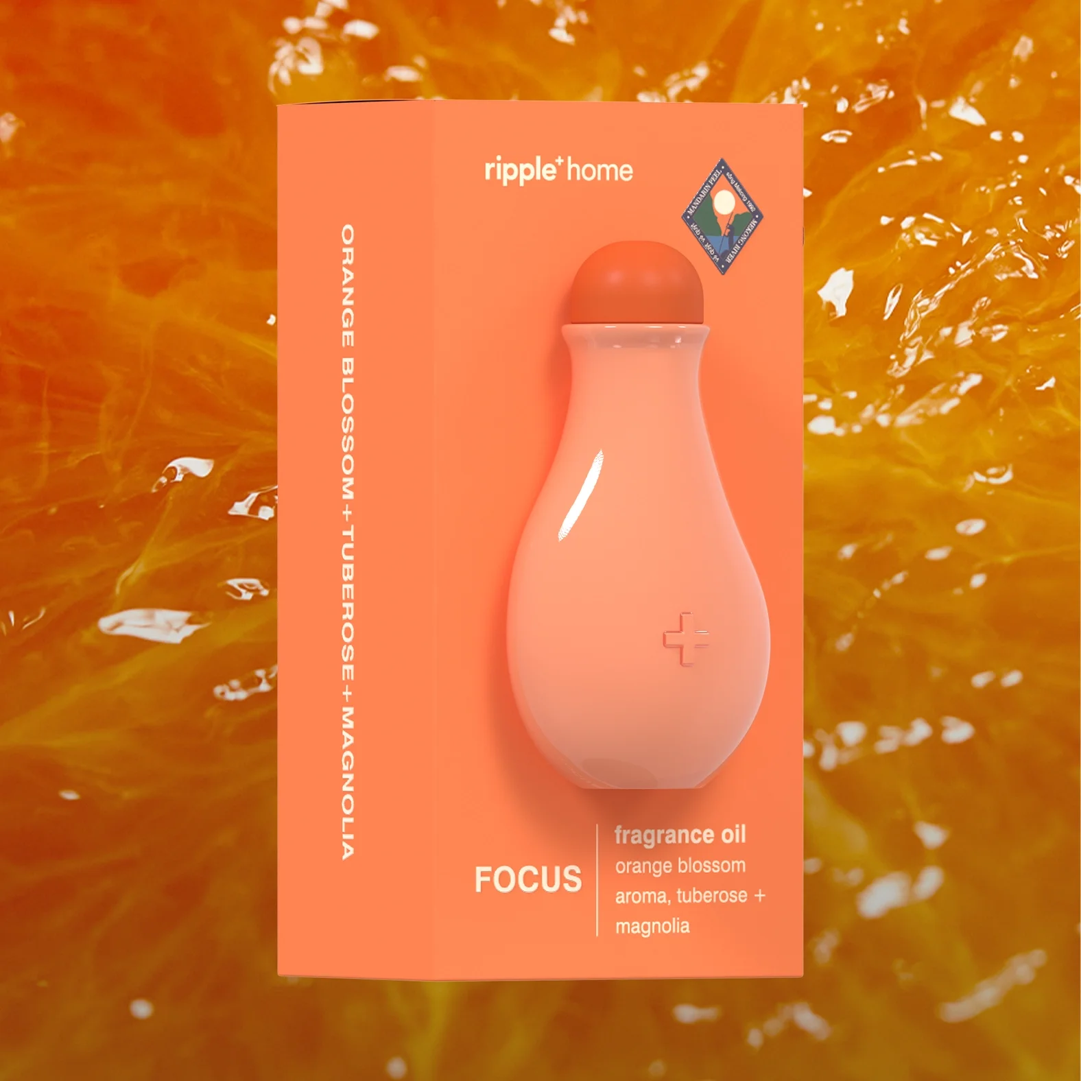 Focus 2.webp