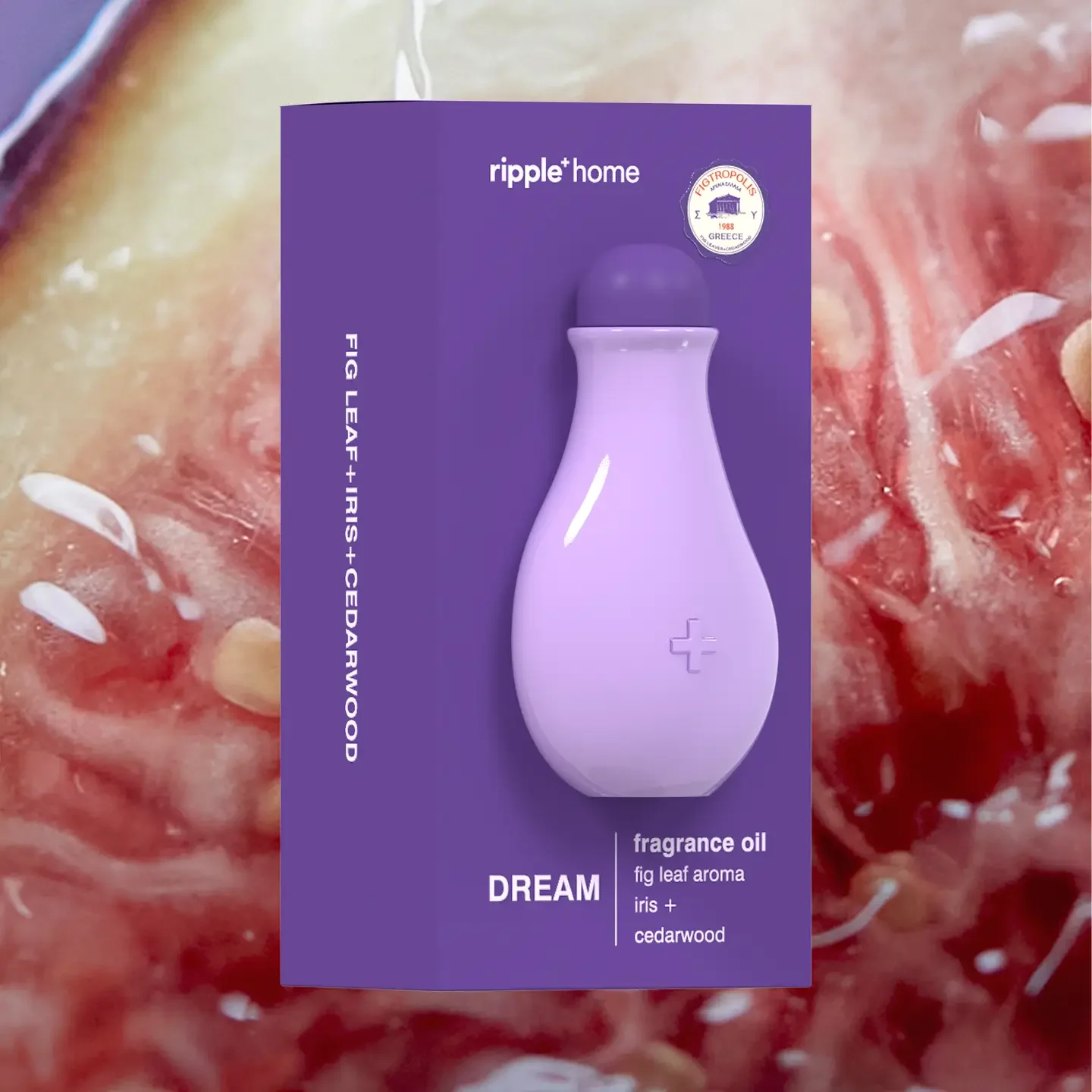 Dream 2.webp