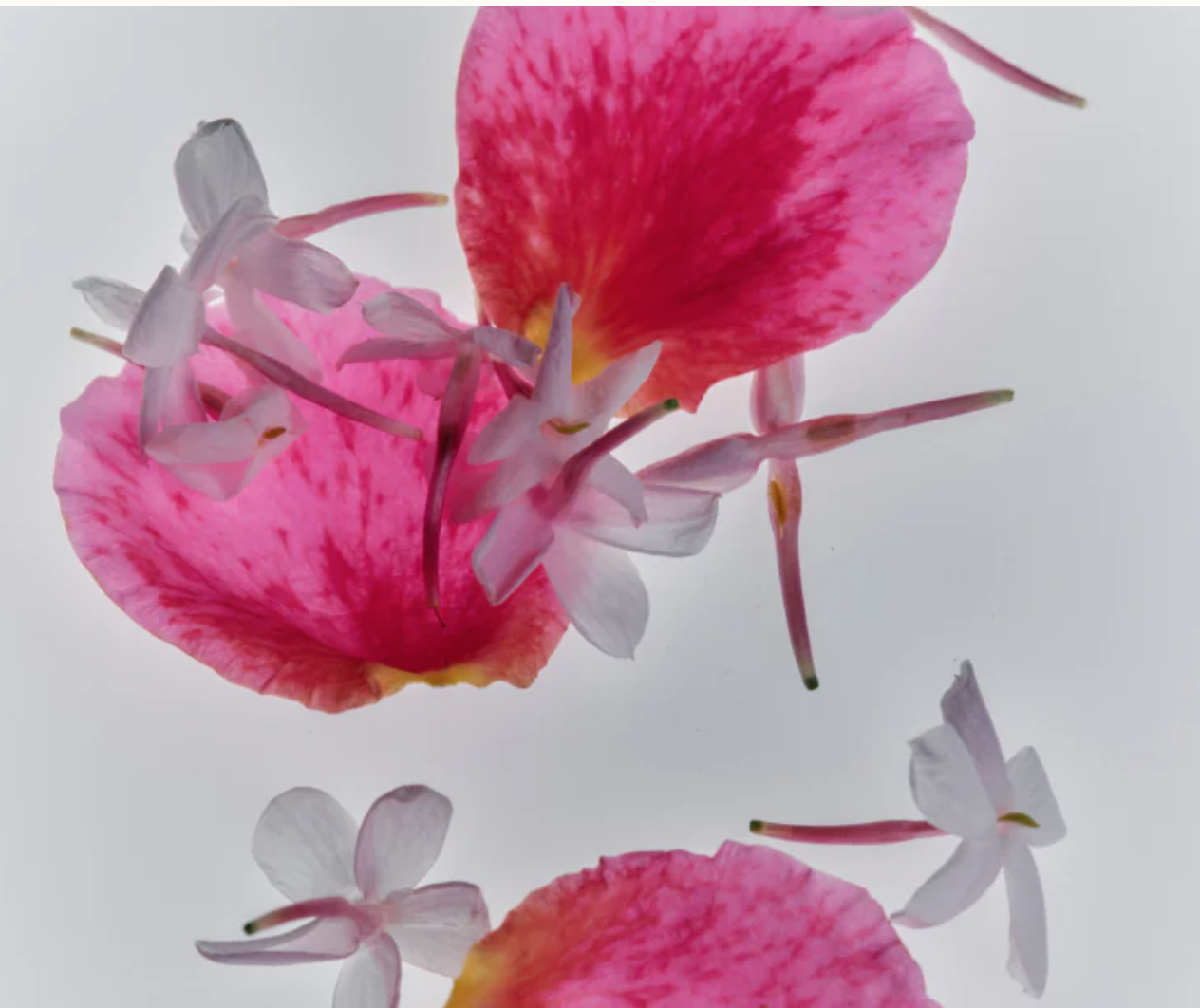 Screen Shot 2026-01-16 at 5.05.12 PM.png