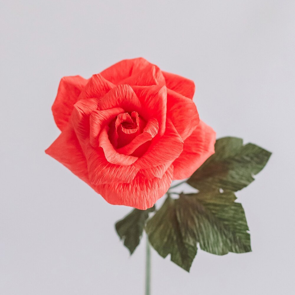 Waterproof Paper Flower Vase — Empire Supply