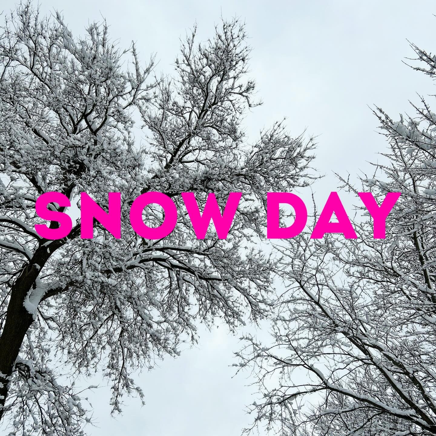 Snow day! The shop is closed today, Sunday 1/26 because of the snow. Stay cozy and shop online! #snowday #shopsmall #annarbor