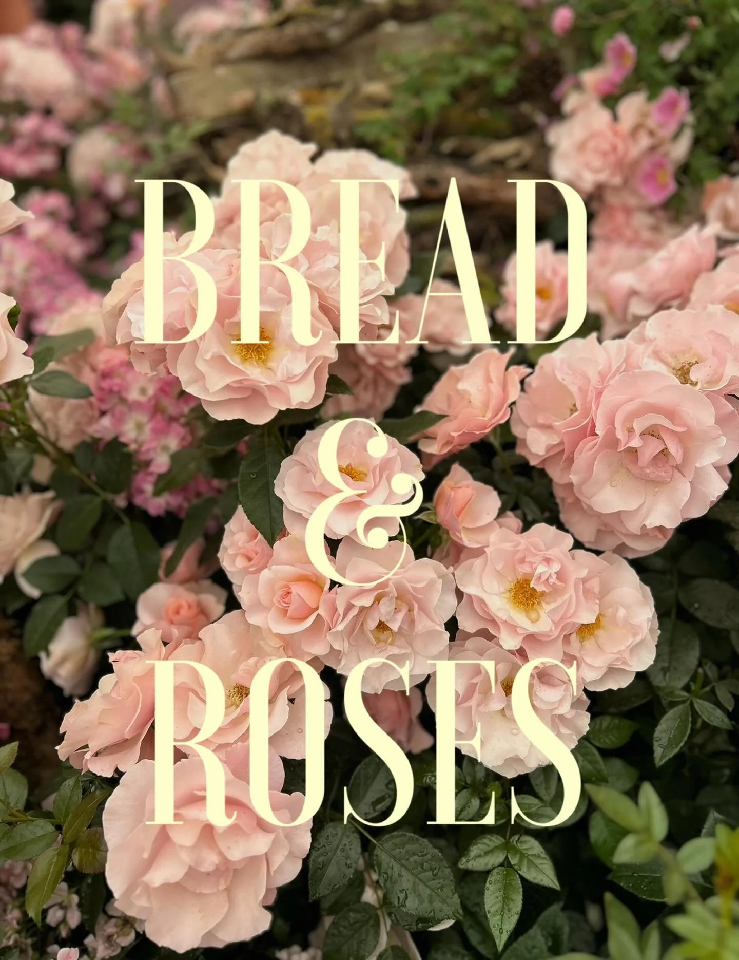 We are standing in solidarity with those rallying today! As an empathetic human being, I have been finding it difficult to go about my normal day to day life with the horrific things that are happening in our world. As a small business owner I truly 