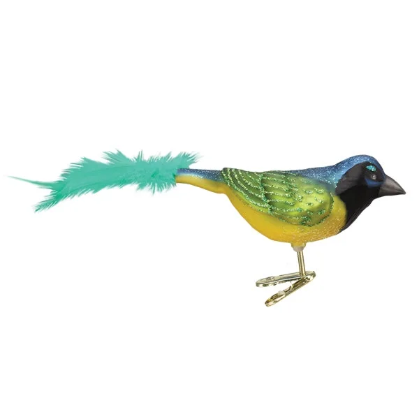 greenjay.webp