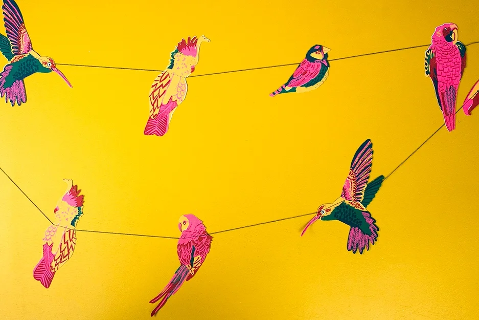 birds3.webp