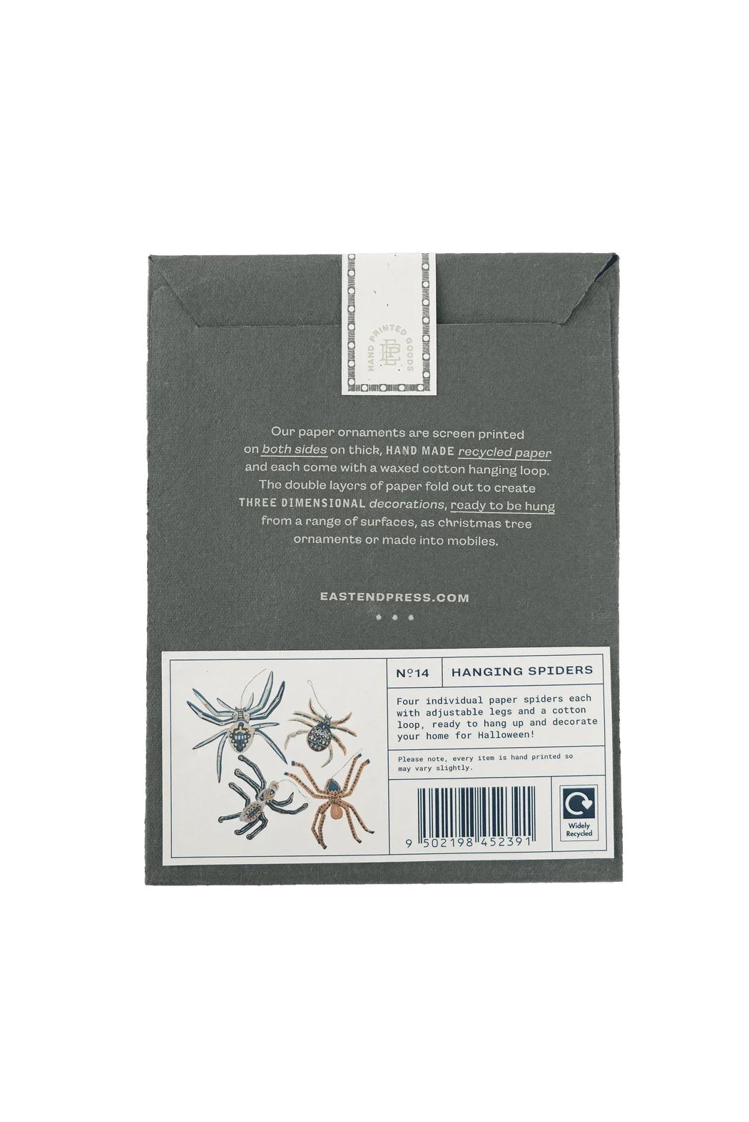 spider5.webp