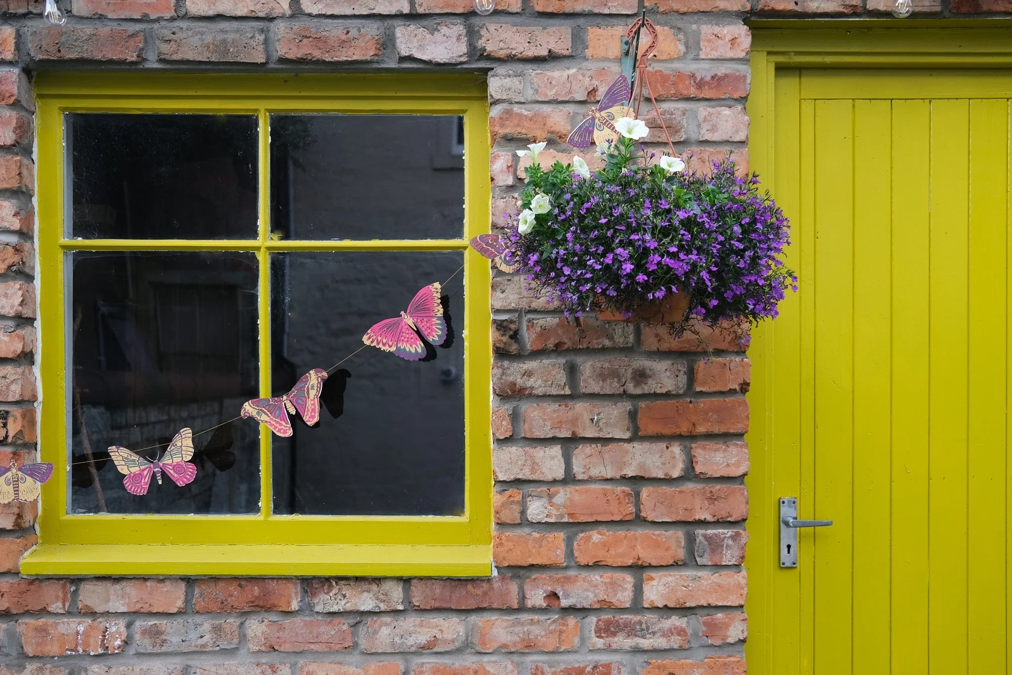 butterflies2.webp