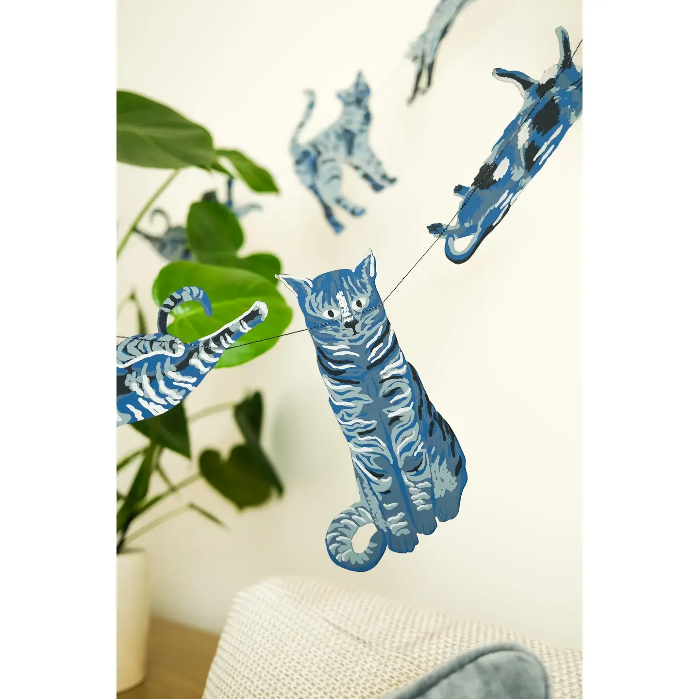 cats2.webp