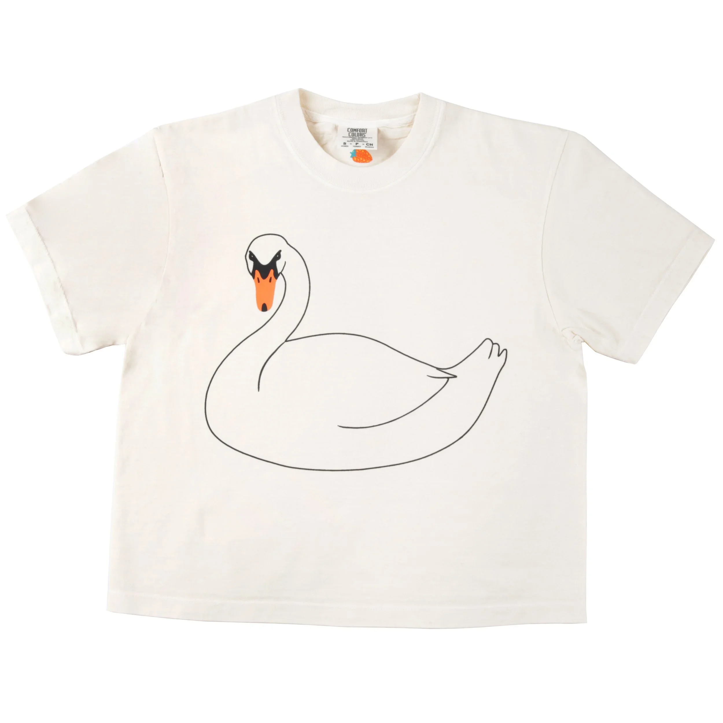 swan.webp