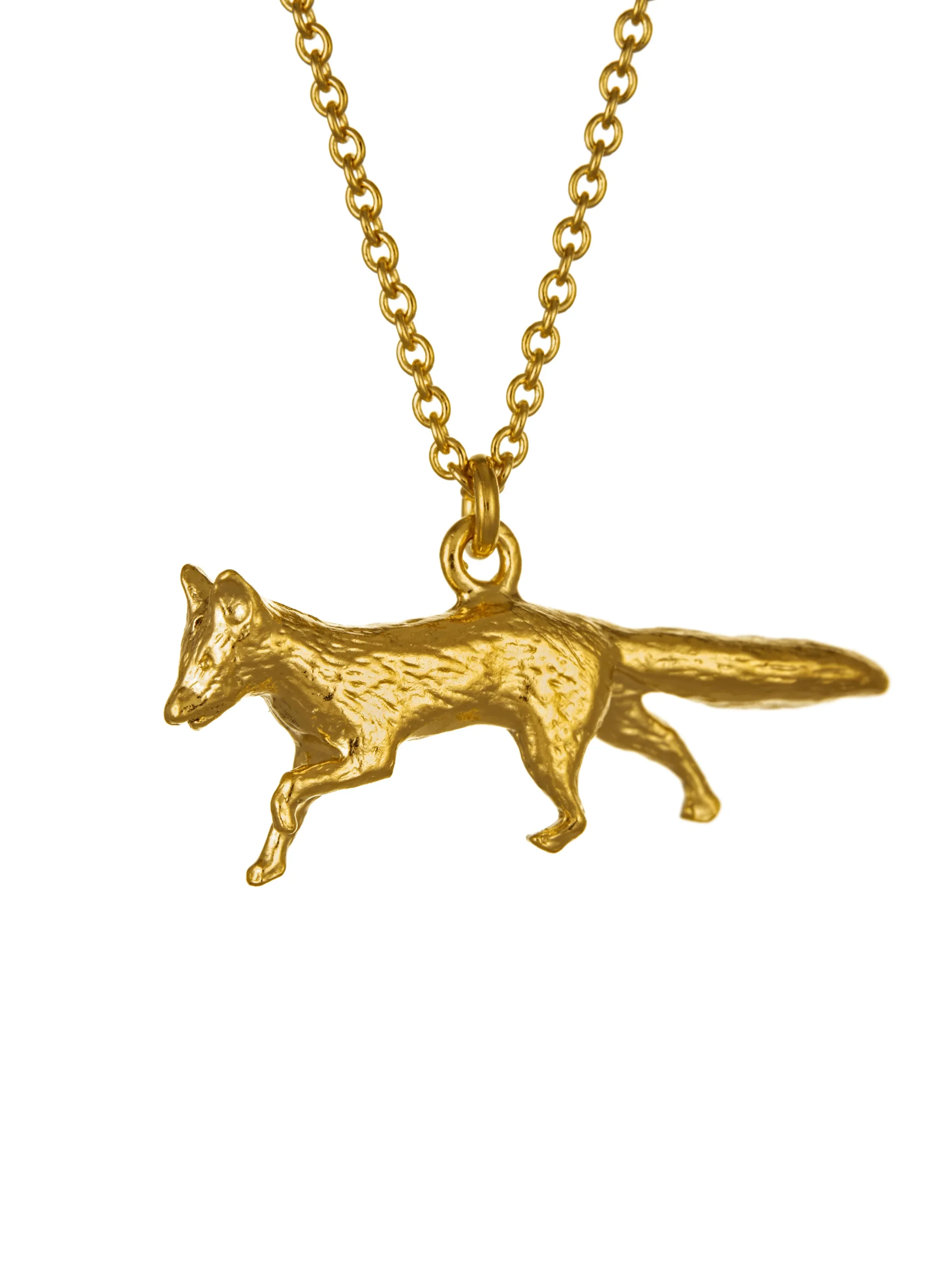 fox.webp