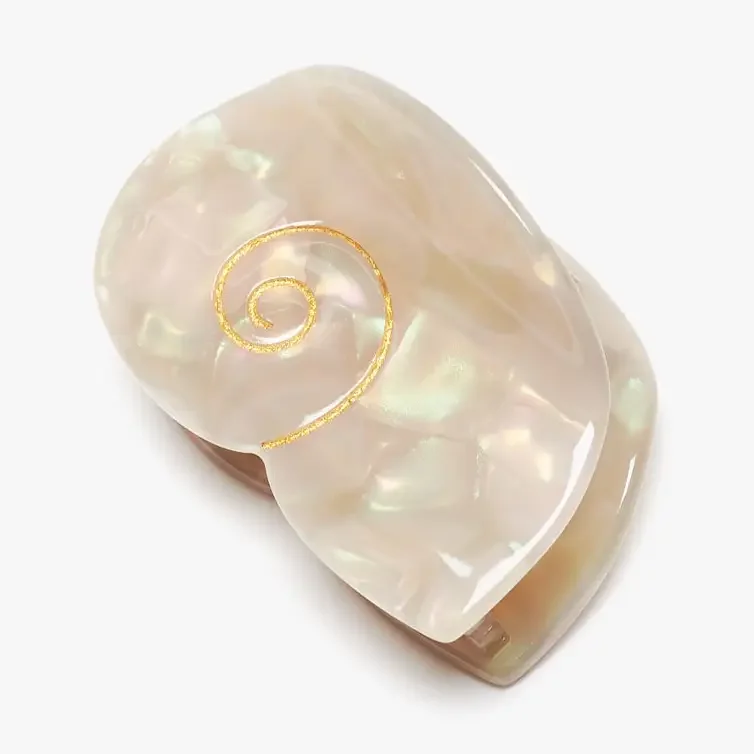 Sea Shell.webp