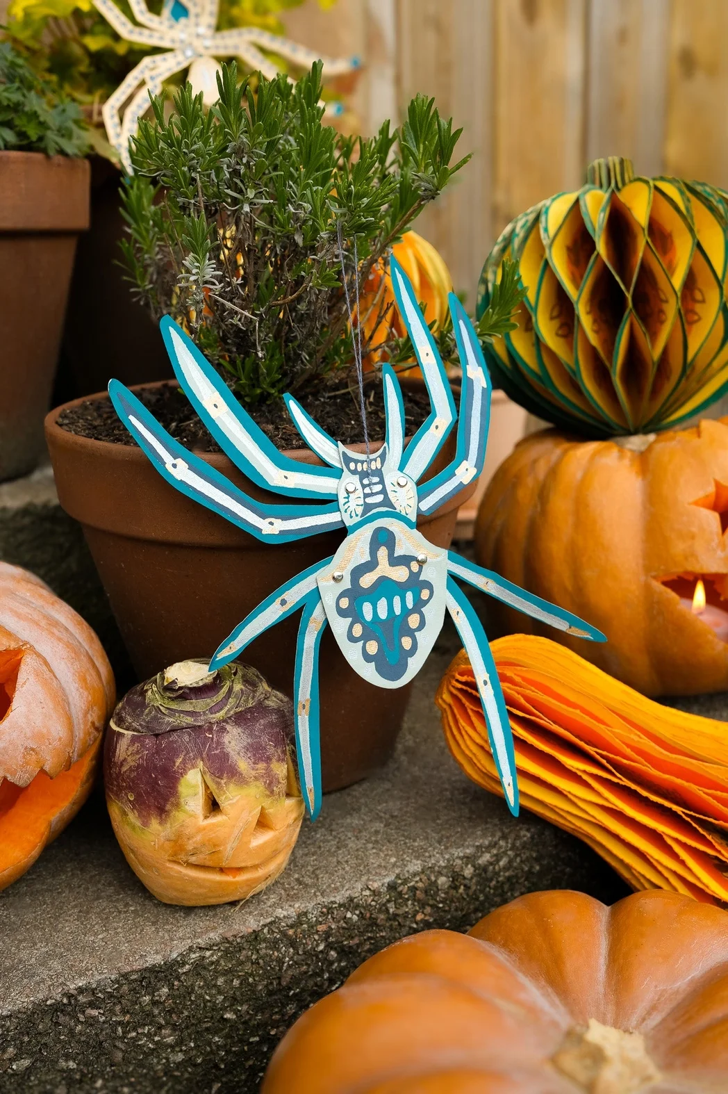 spider.webp