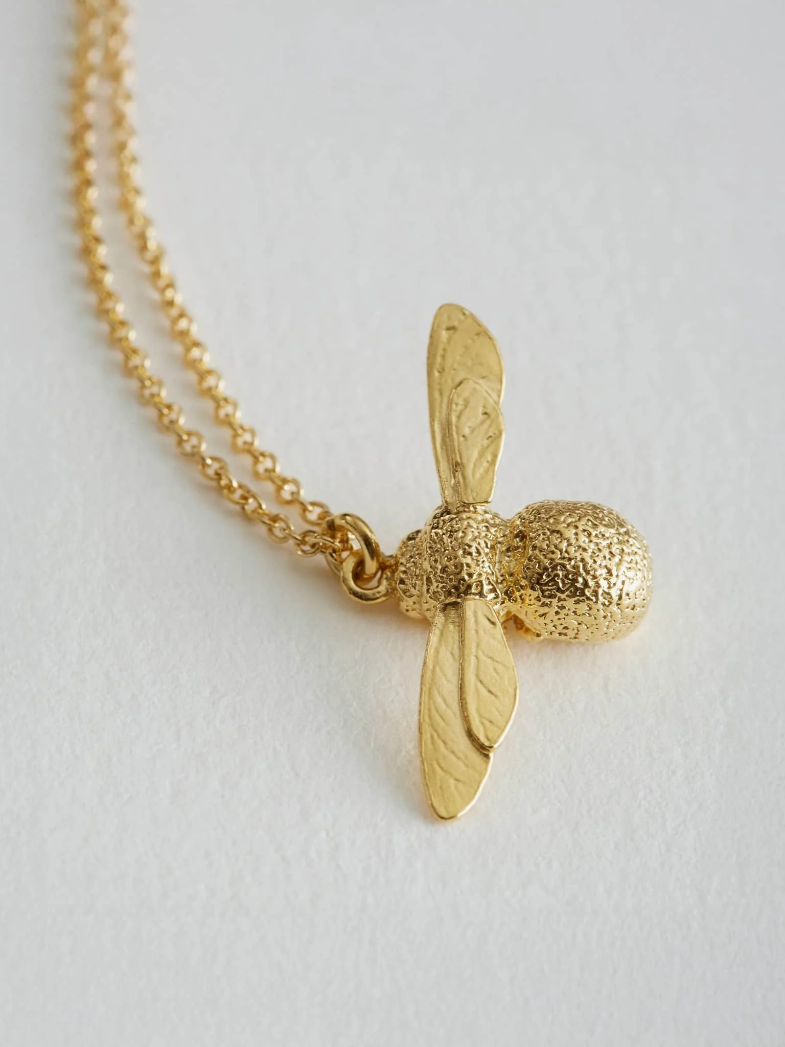 baby bee2.jpg