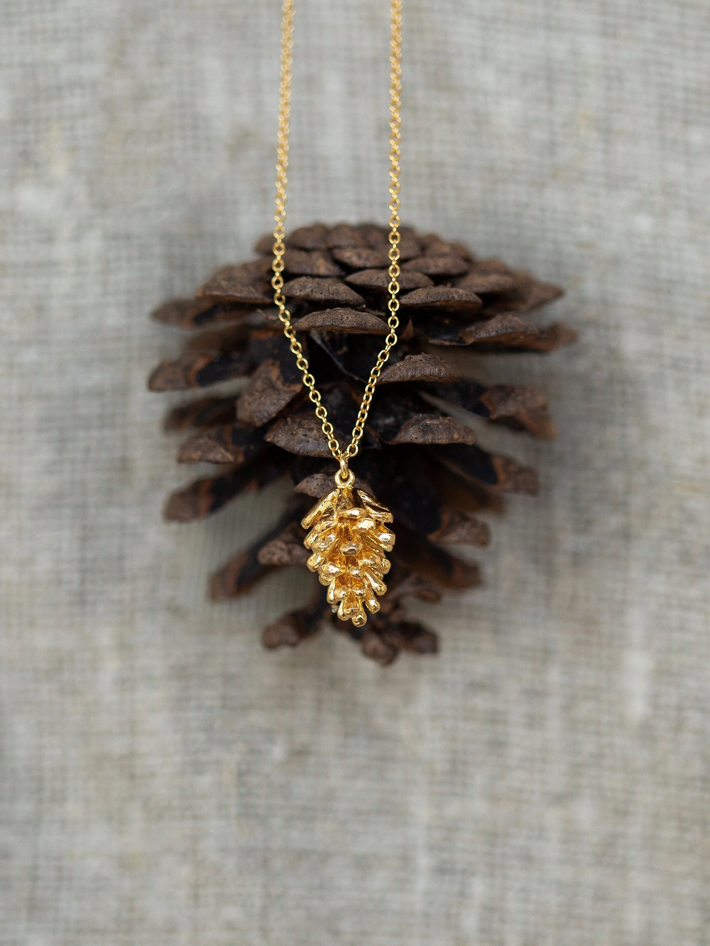 pinecone2.jpg