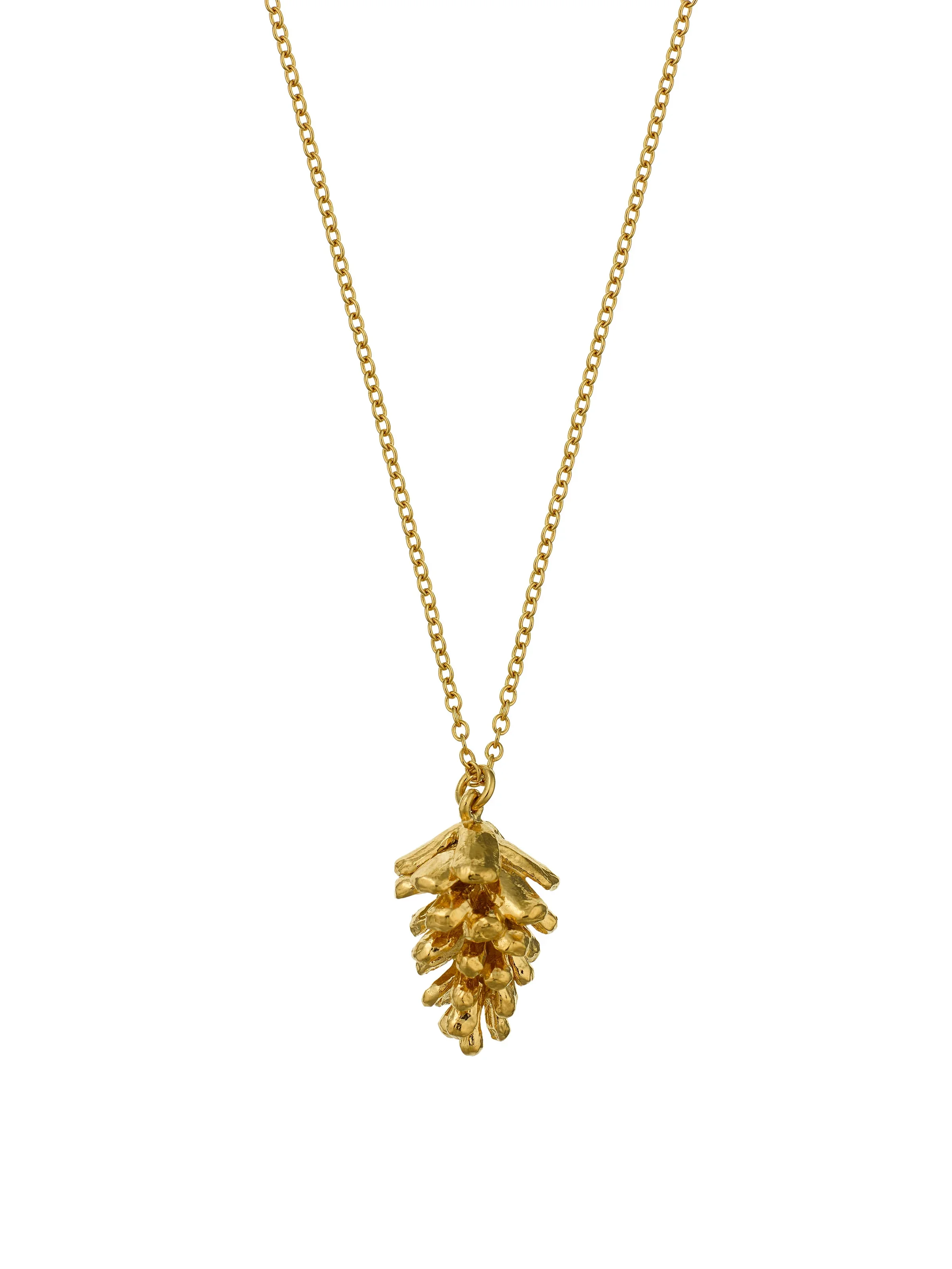 pinecone.webp