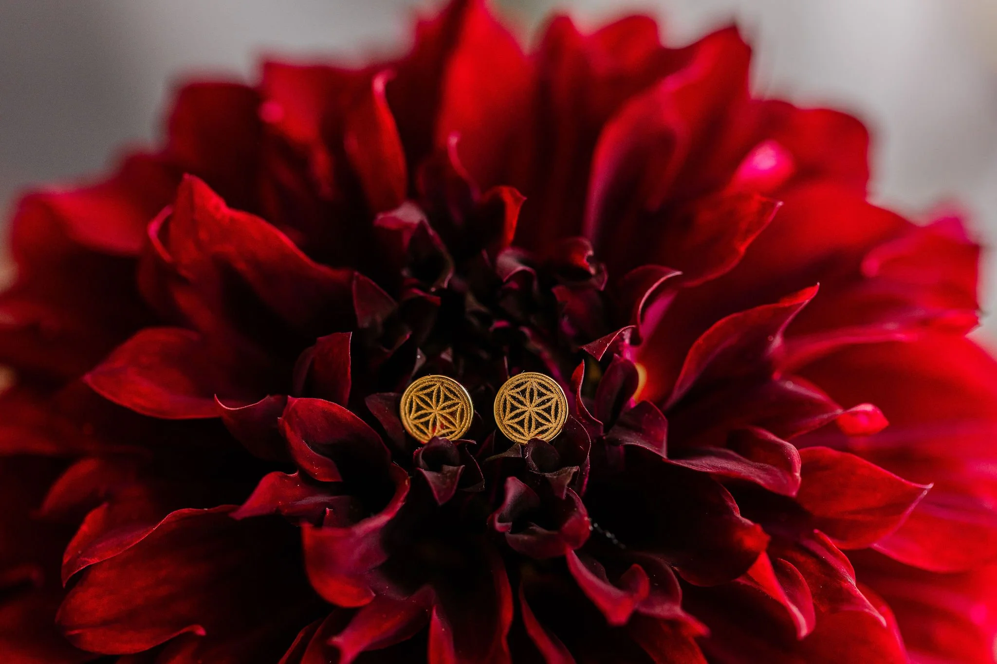 Hexafoil Studs