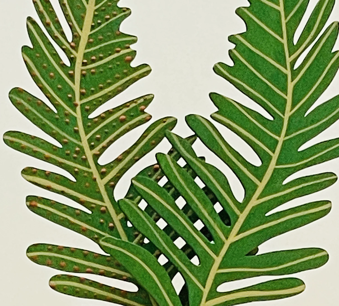 Screen Shot 2026-02-13 at 3.42.36 PM.png