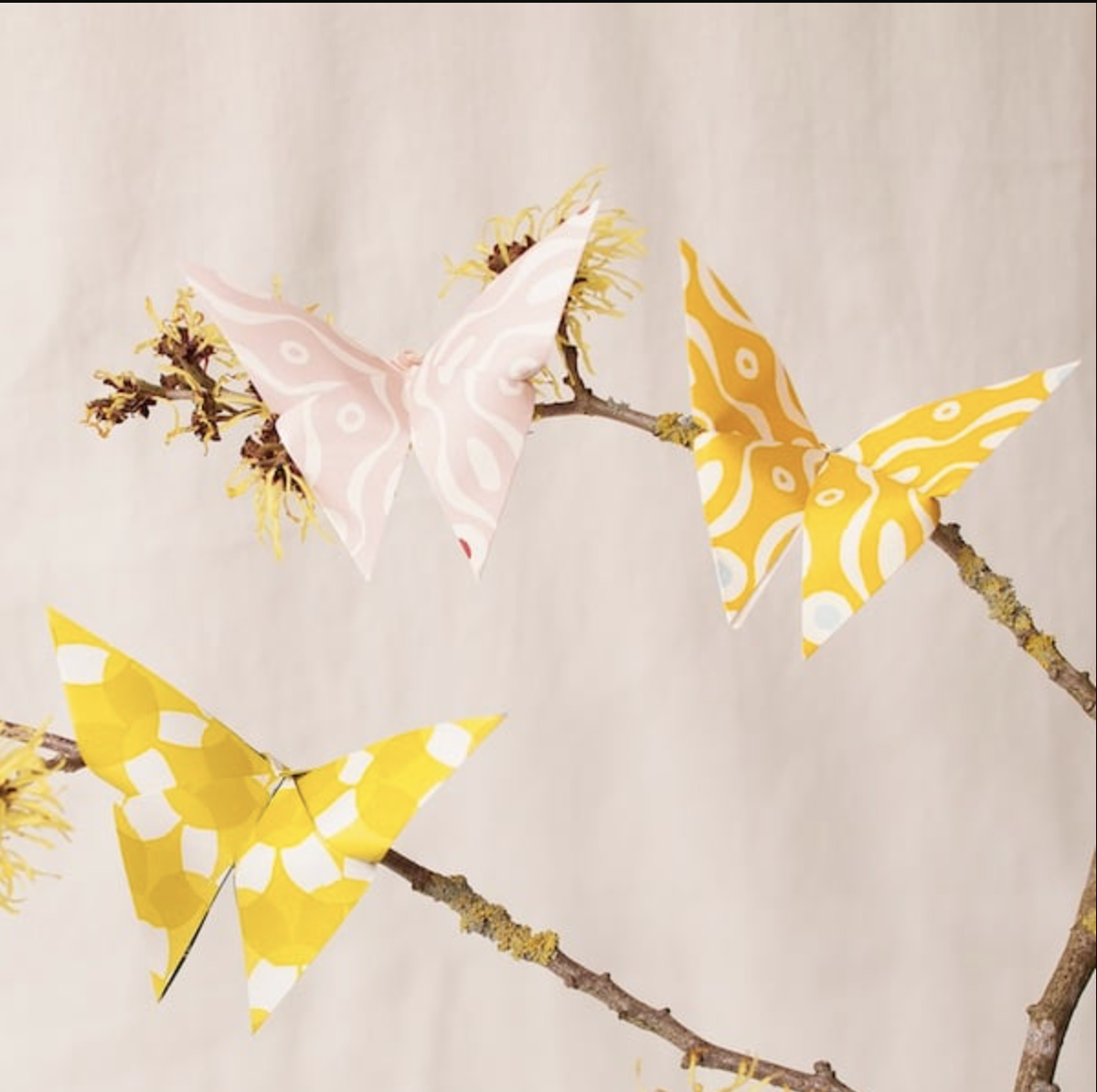 Screenshot 2026-02-26 at 1.18.54 PM.png