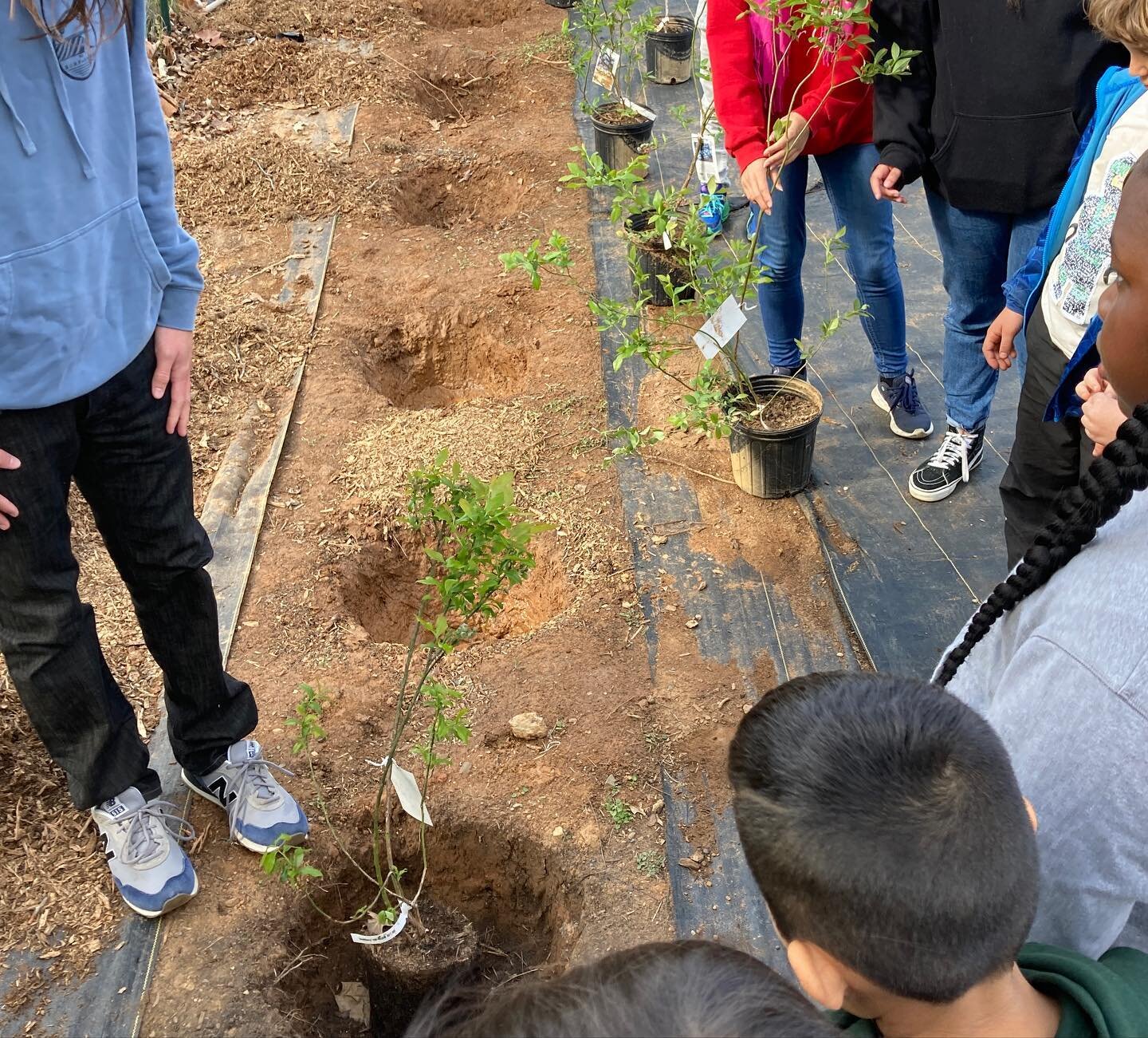 What an amazing morning!  We hosted 65 third grade students from @greenbrierelementary to help them wrap up their unit on where their food comes from and it was a blast!  We had a lot of help from our friends from @cultivatecharlottesville and the Te