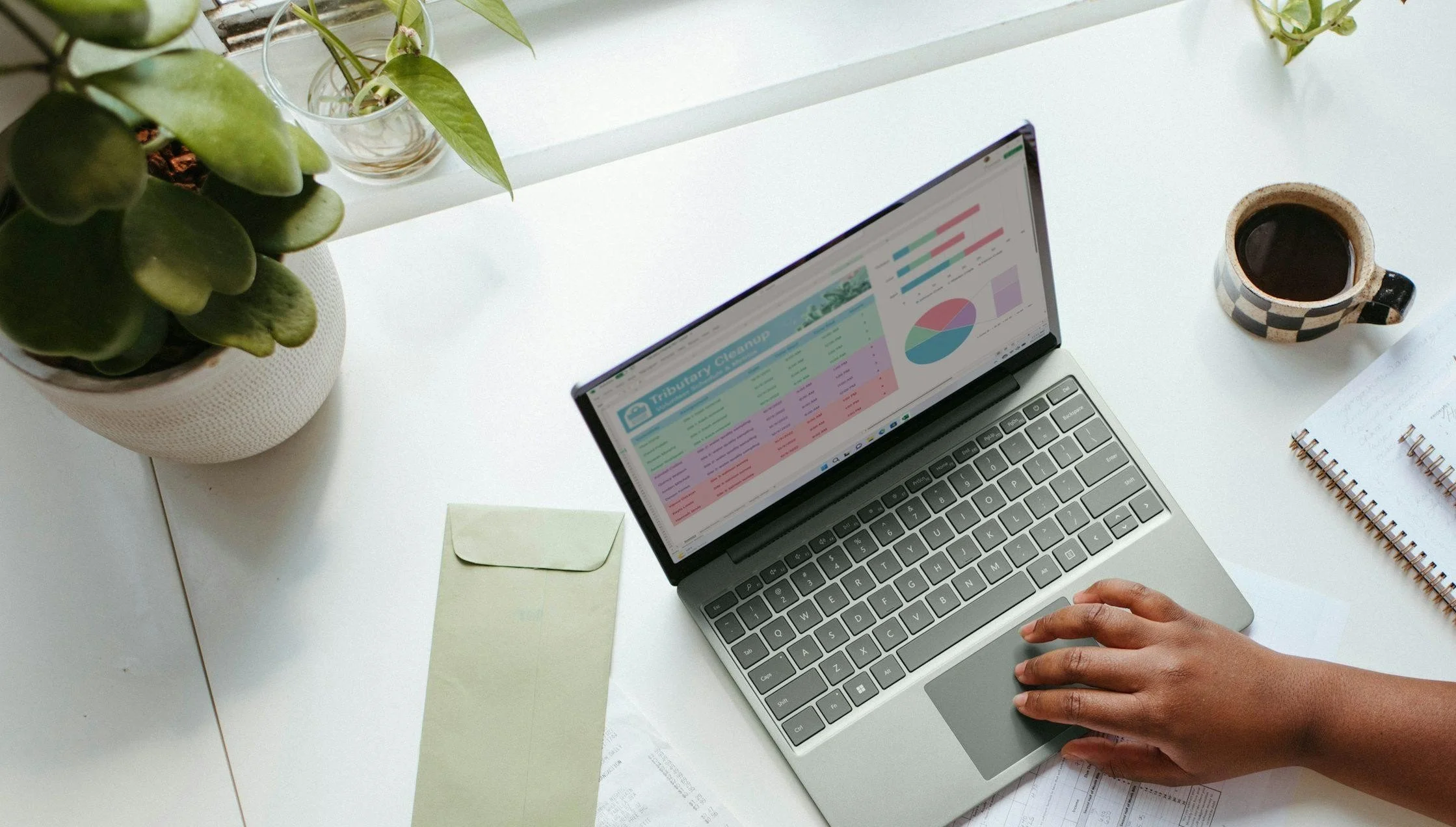 Laptop with plant