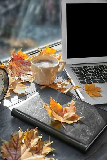 Your Books Need a Fall Cleanup Too