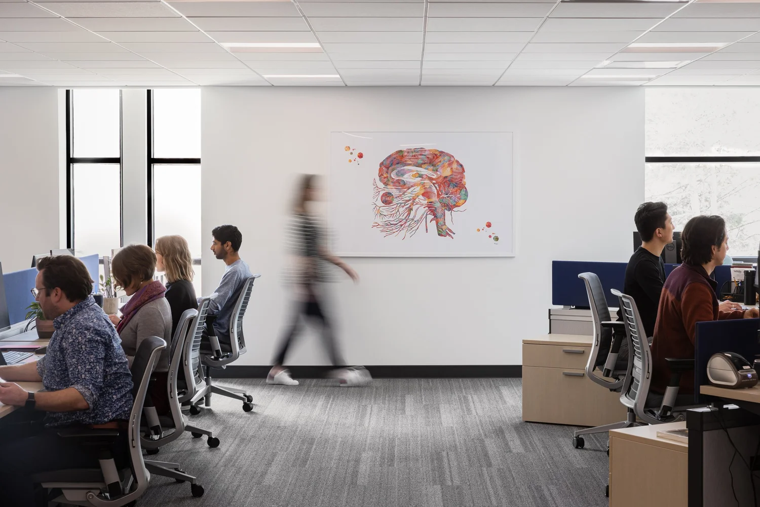DICoN Lab