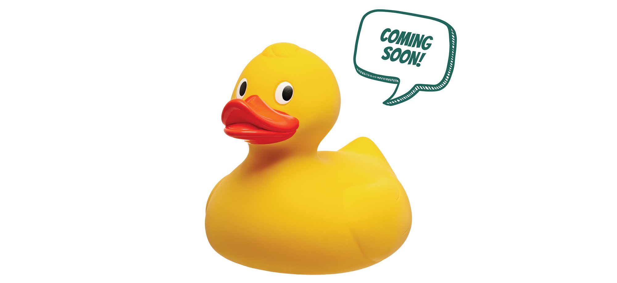 Educators — ANDY TOLSON