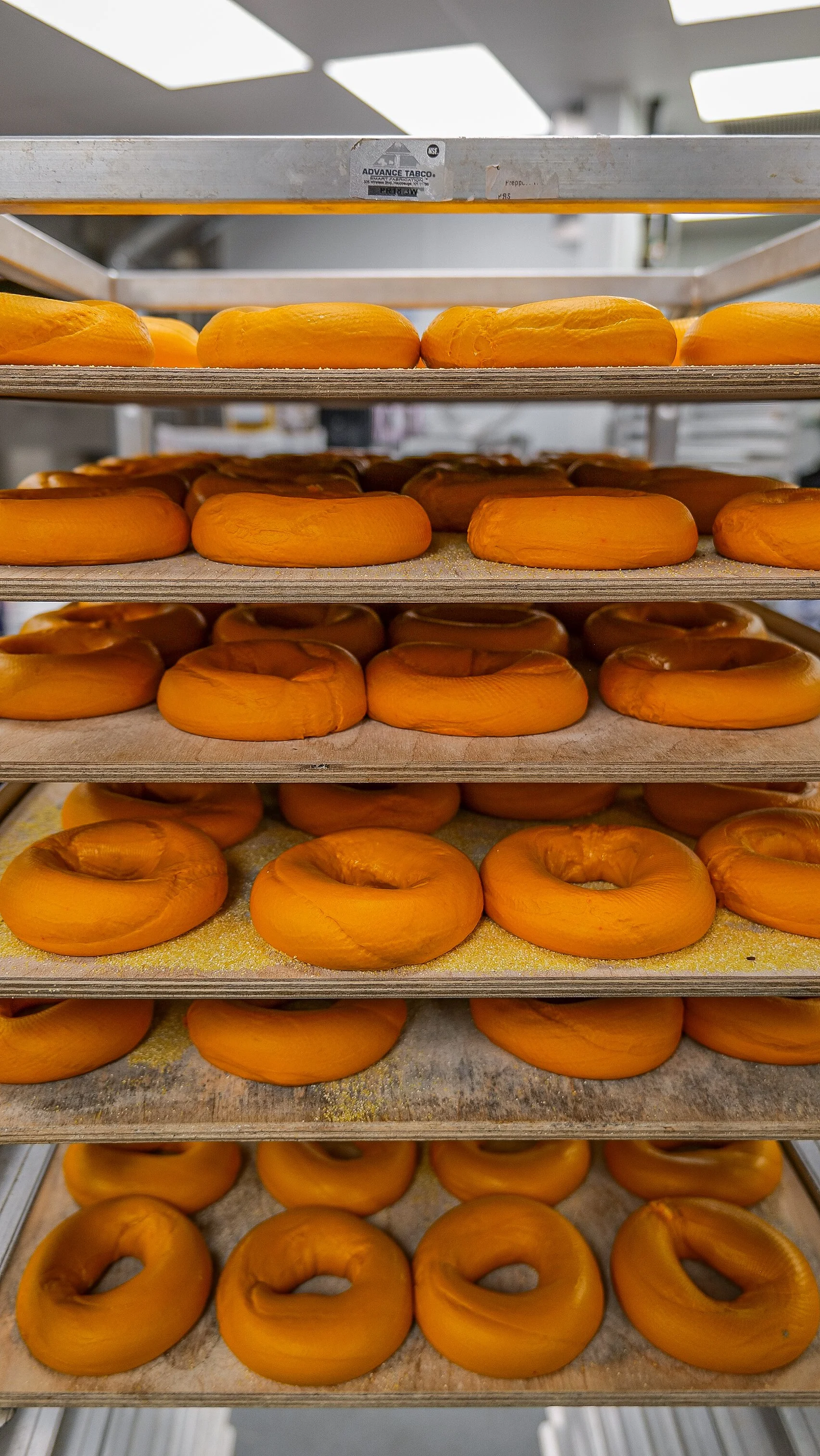 Surf Bagel Middletown-21.jpg