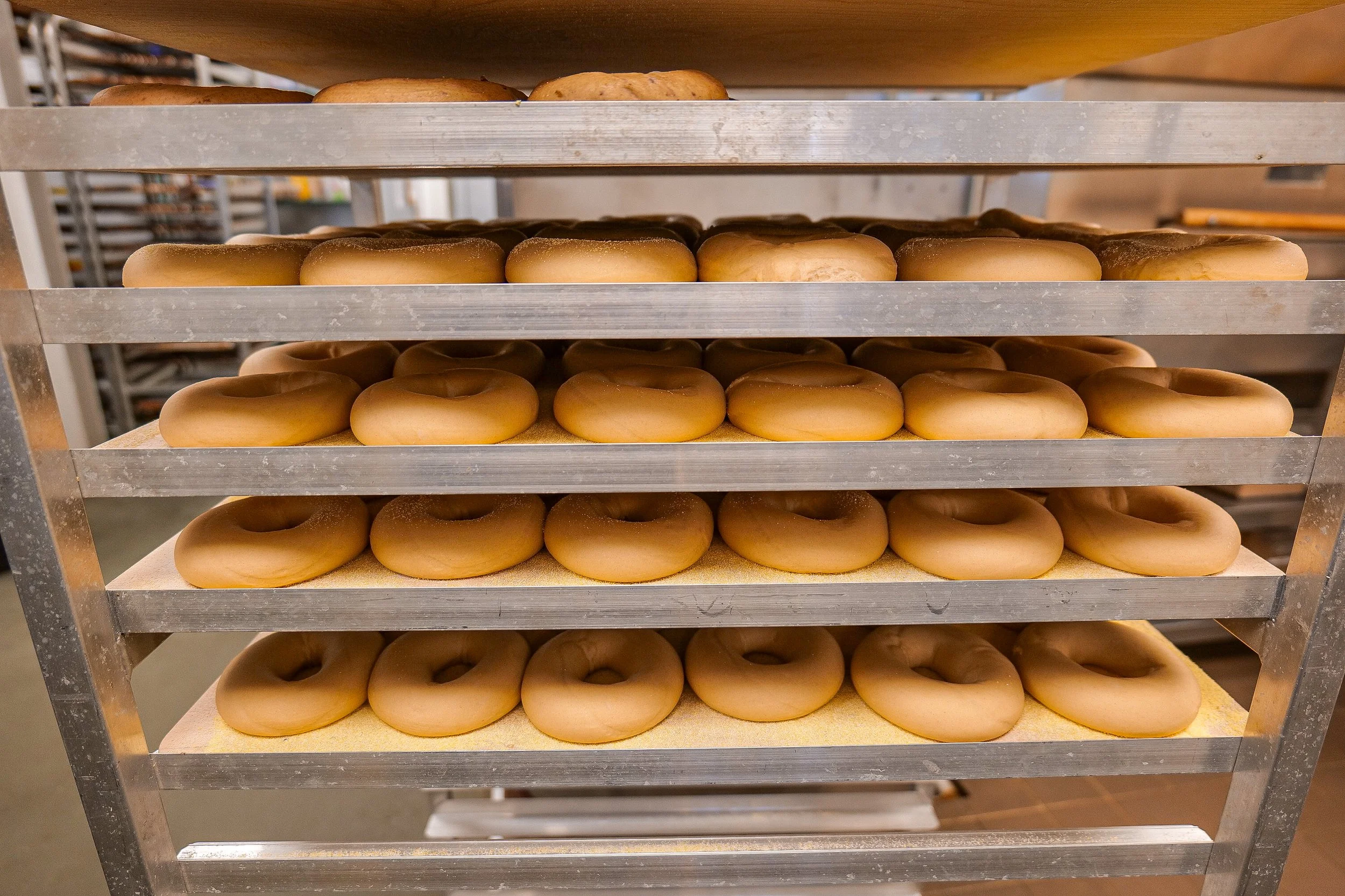 Surf Bagel Milford-41.jpg