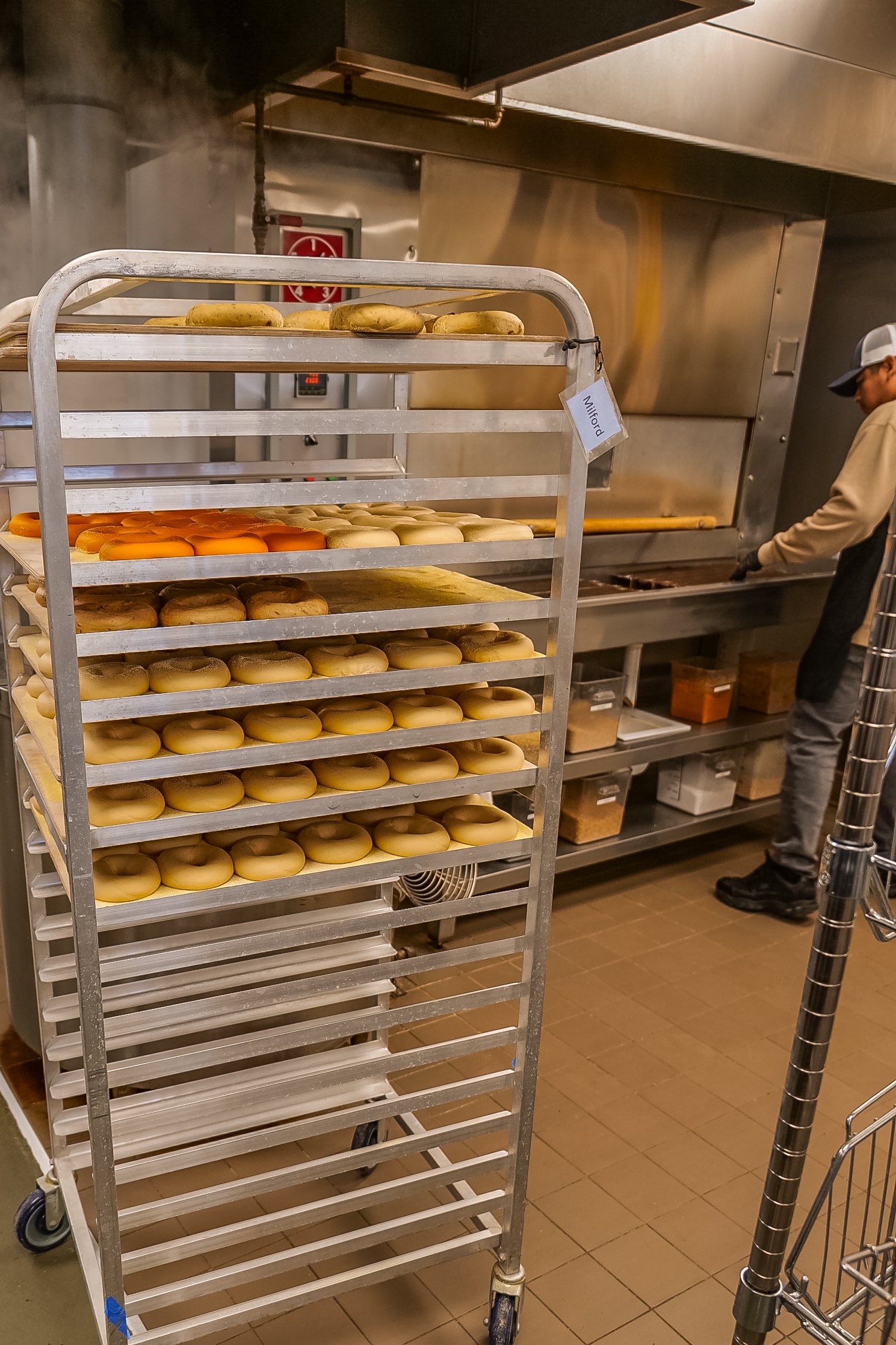 Surf Bagel Milford-43.jpg