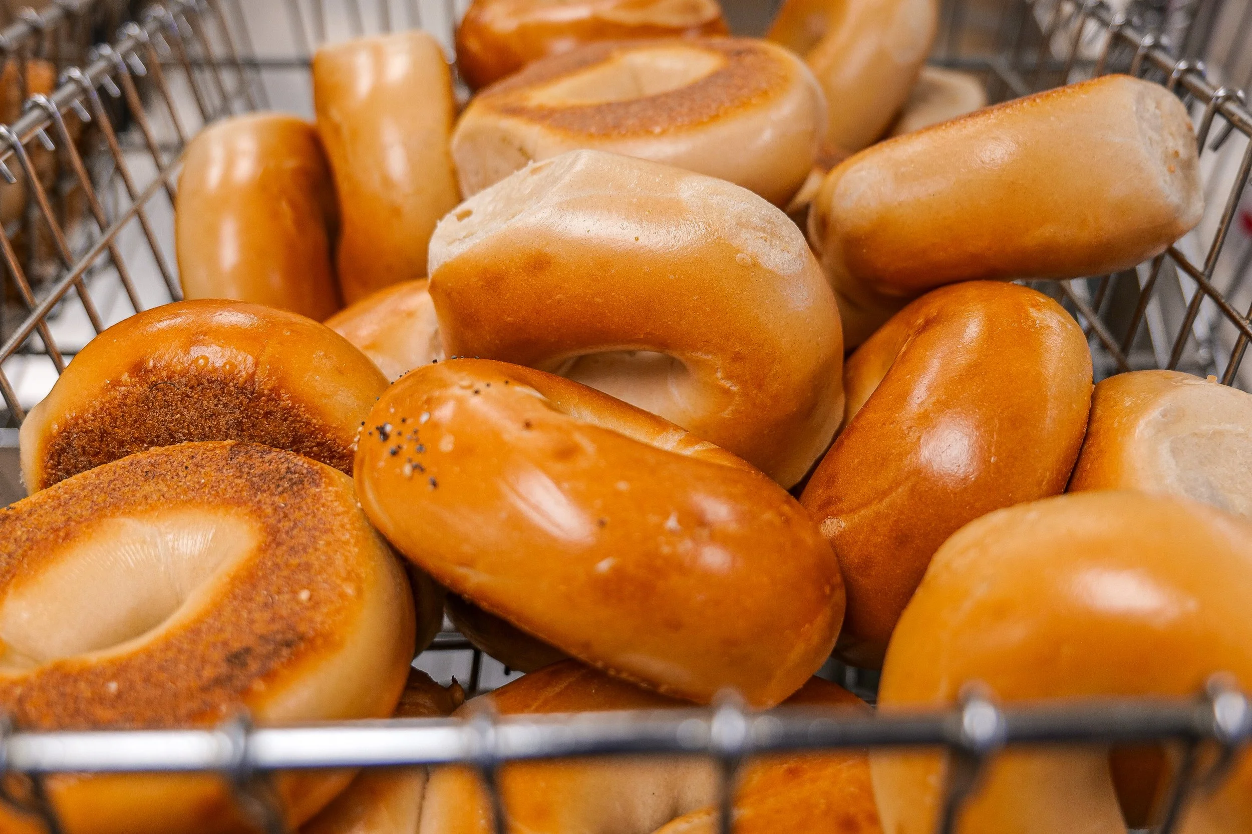 Surf Bagel Milford-37.jpg