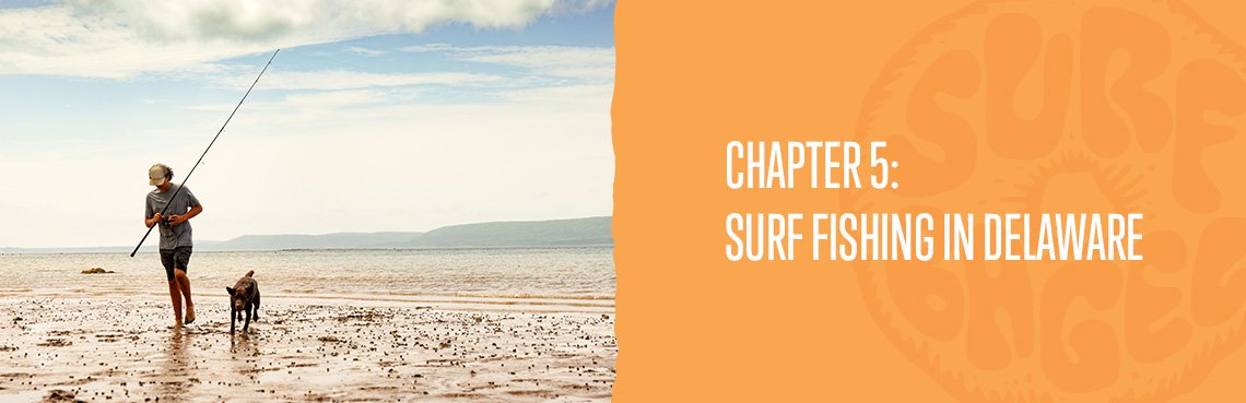 Chapter 5: Surf Fishing in Delaware — SURF BAGEL