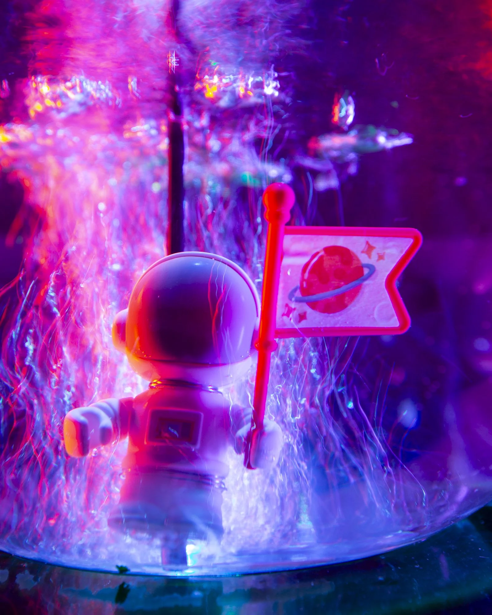 Shutter Speed &amp; Focus