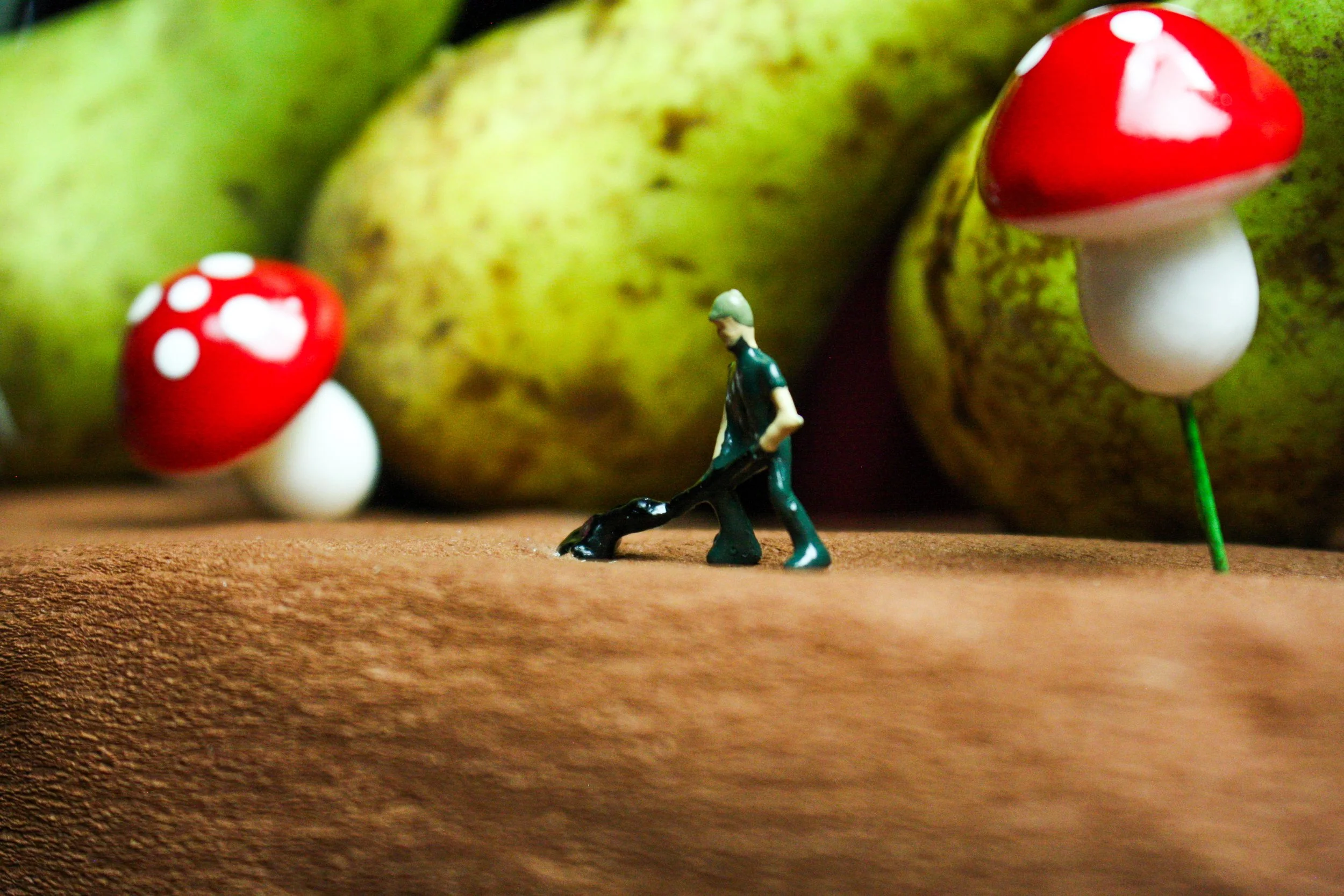 Lucy-1-3.jpg