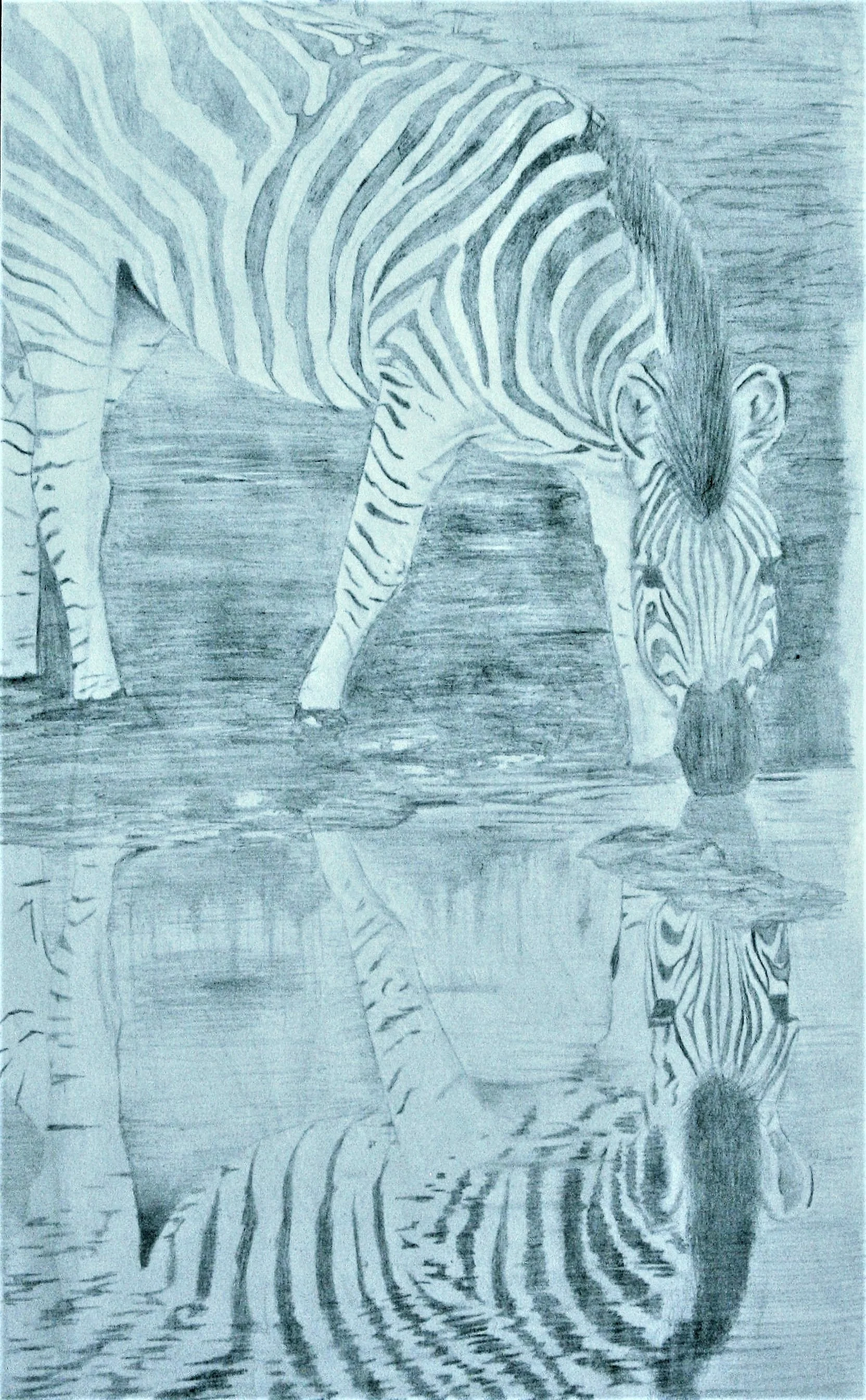 6. Reflection in the watering hole.jpg